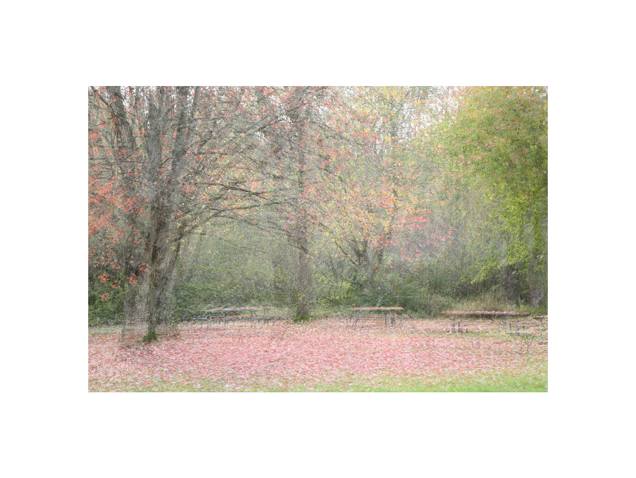 Multiple Exposure