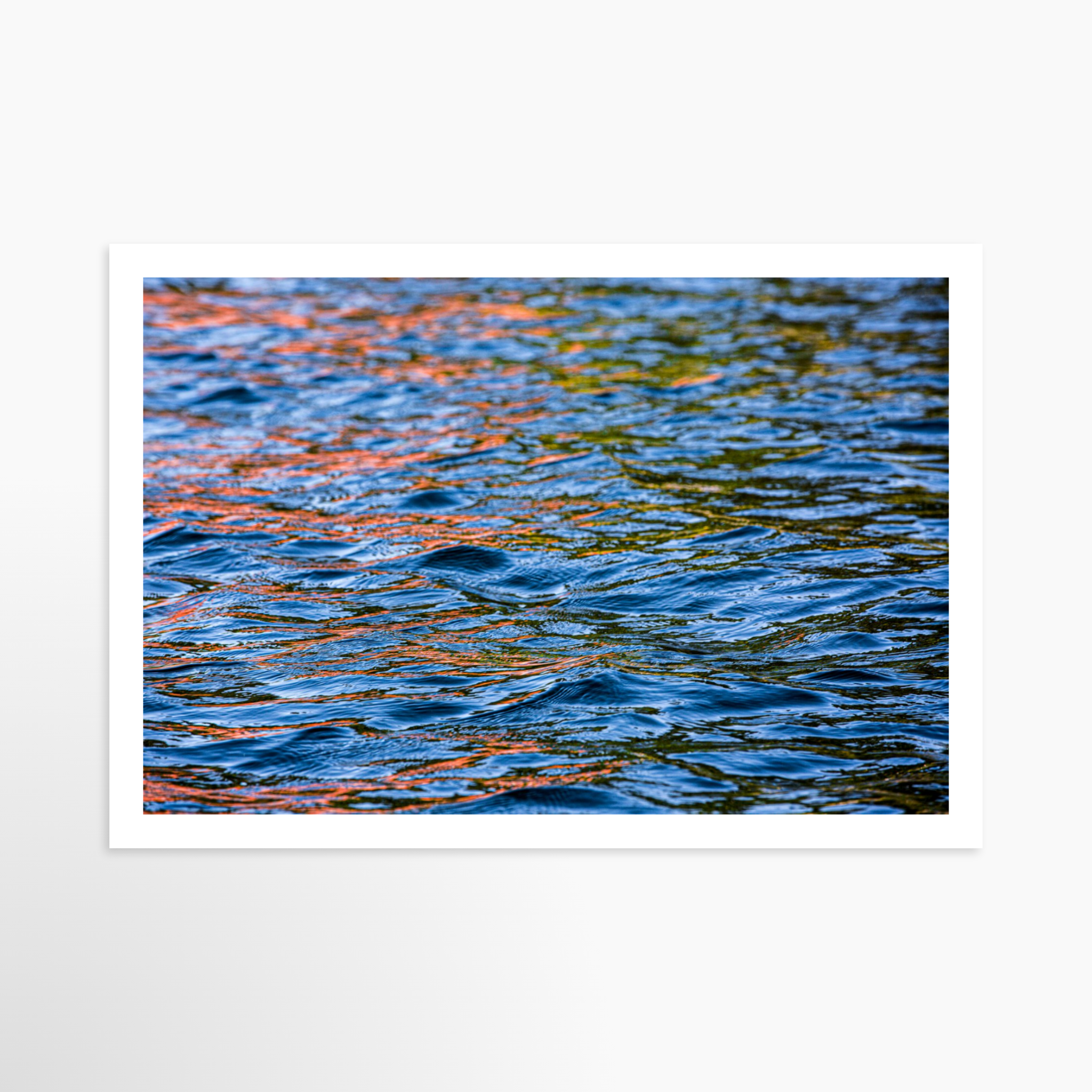 16x24 / Print / None