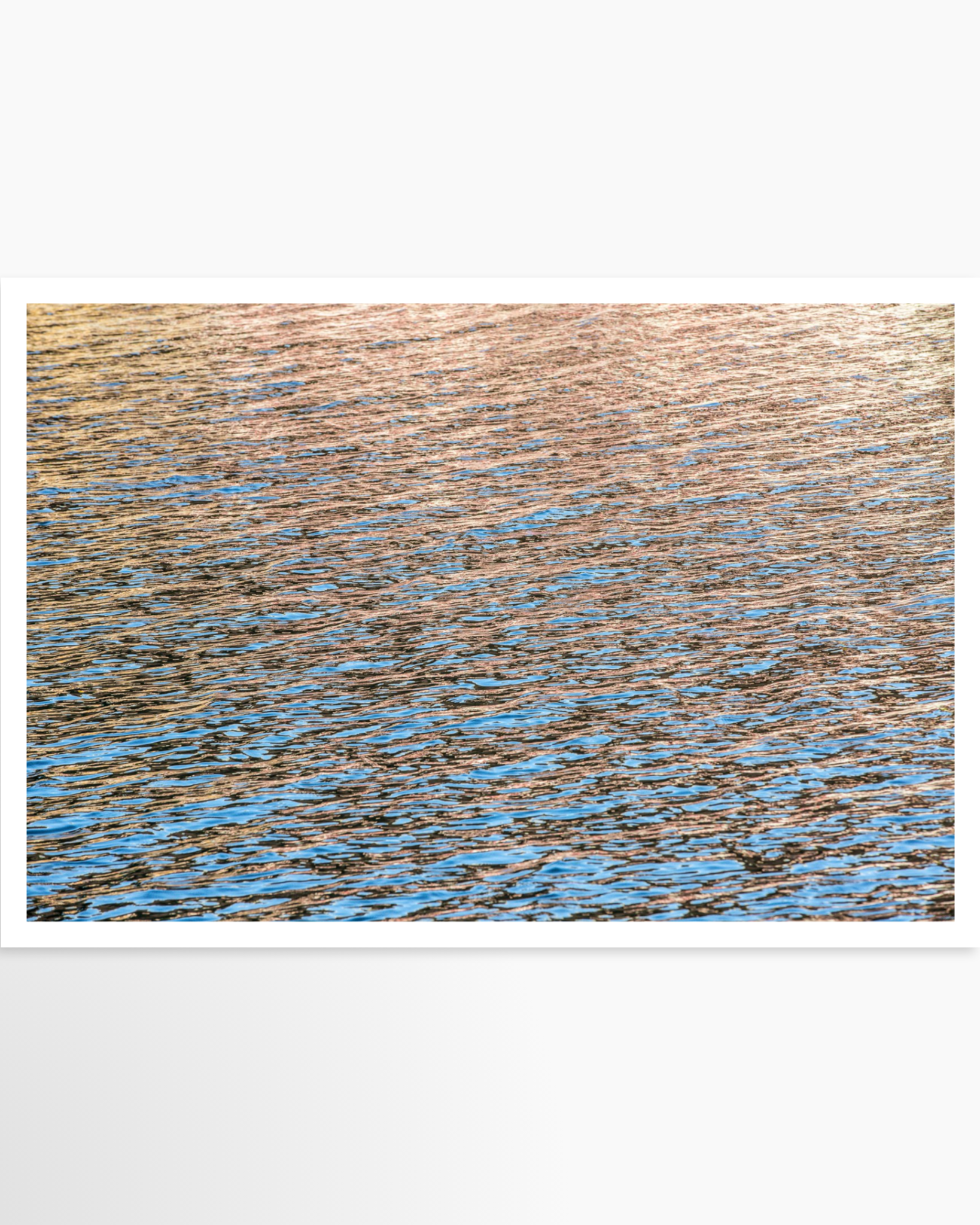 24x36 / Print / None