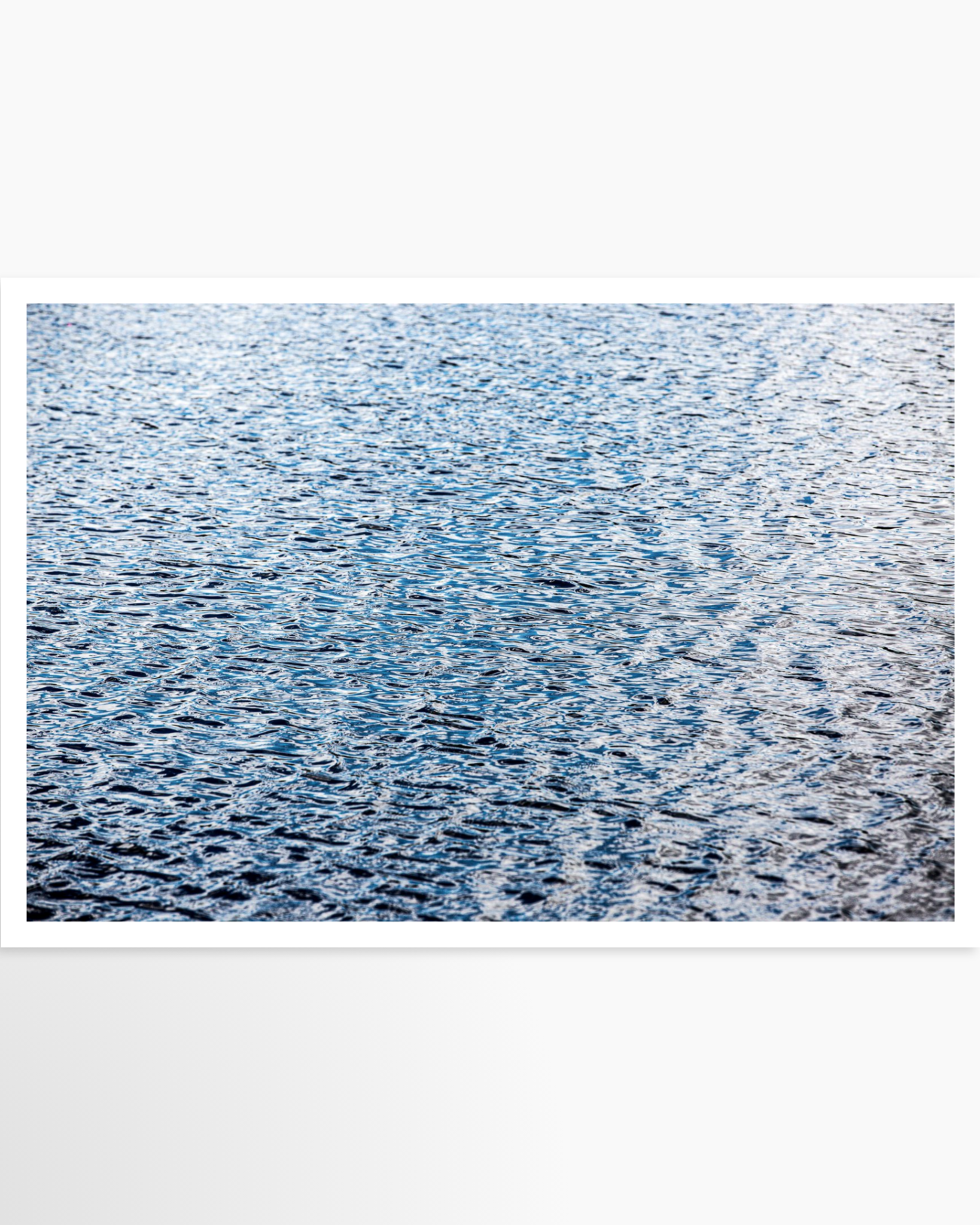 24x36 / Print / None