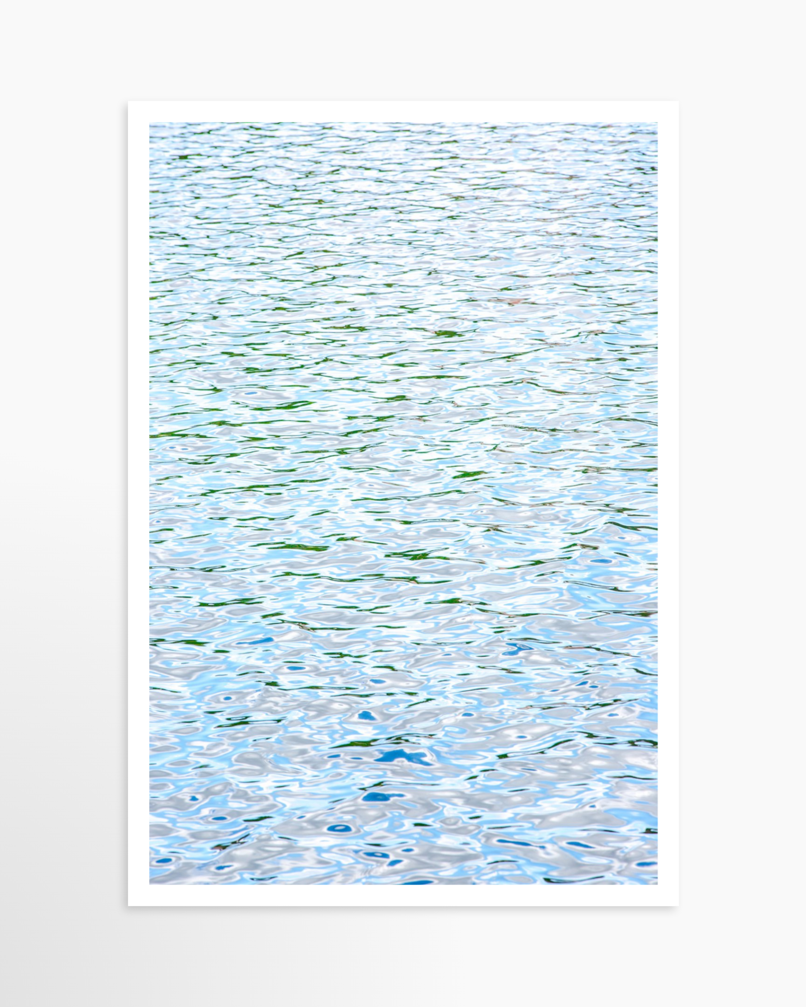 24x36 / Print / None