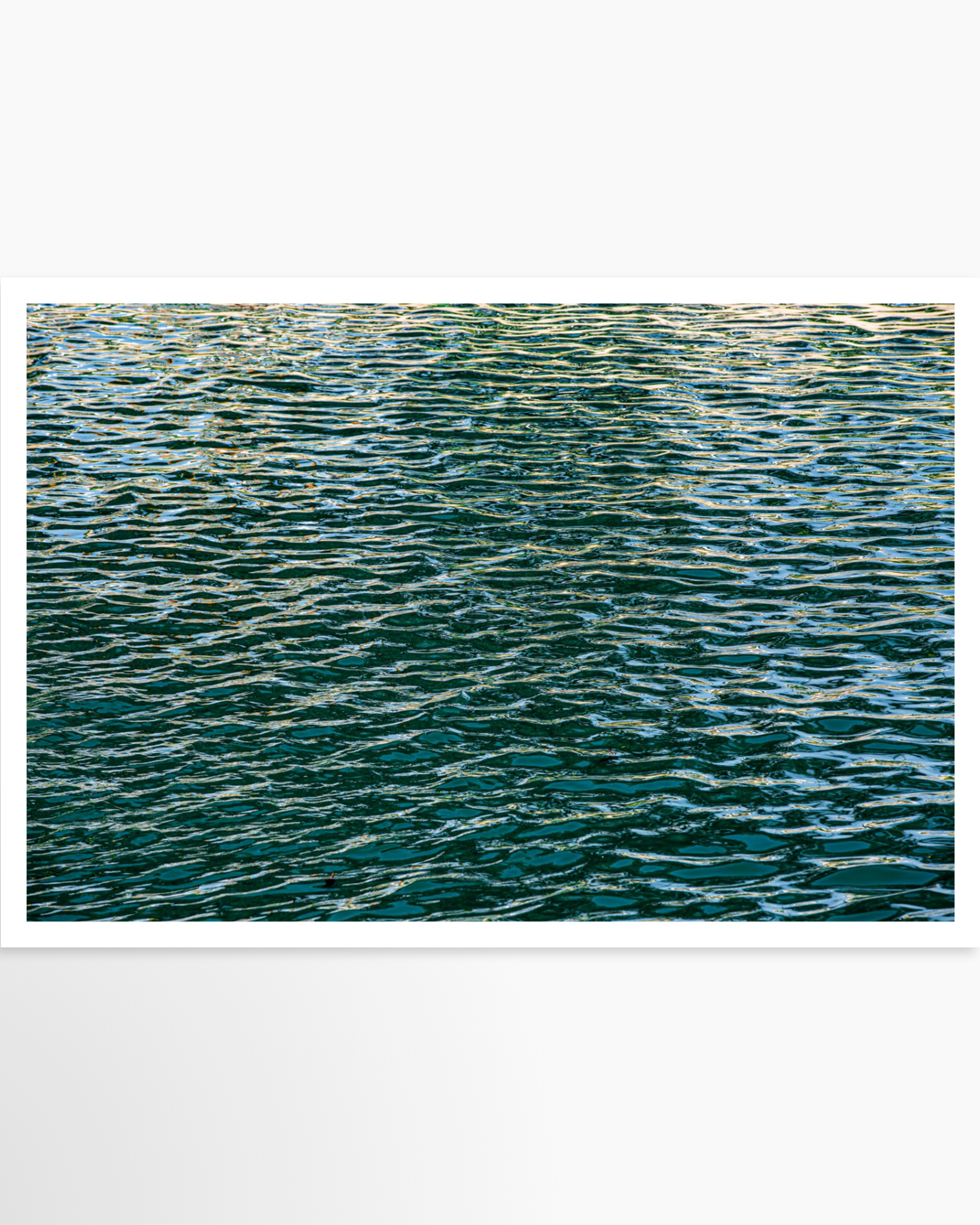 24x36 / Print / None
