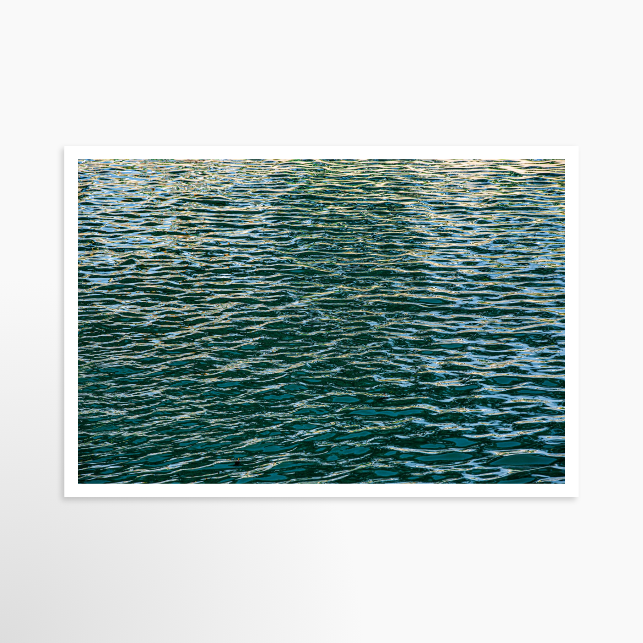 24x36 / Print / None