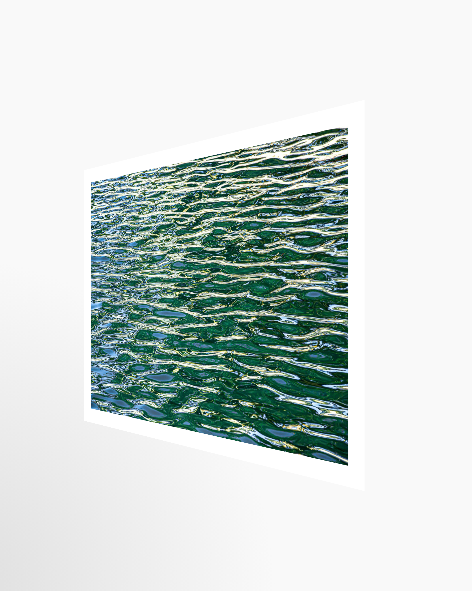 16x24 / Print / None