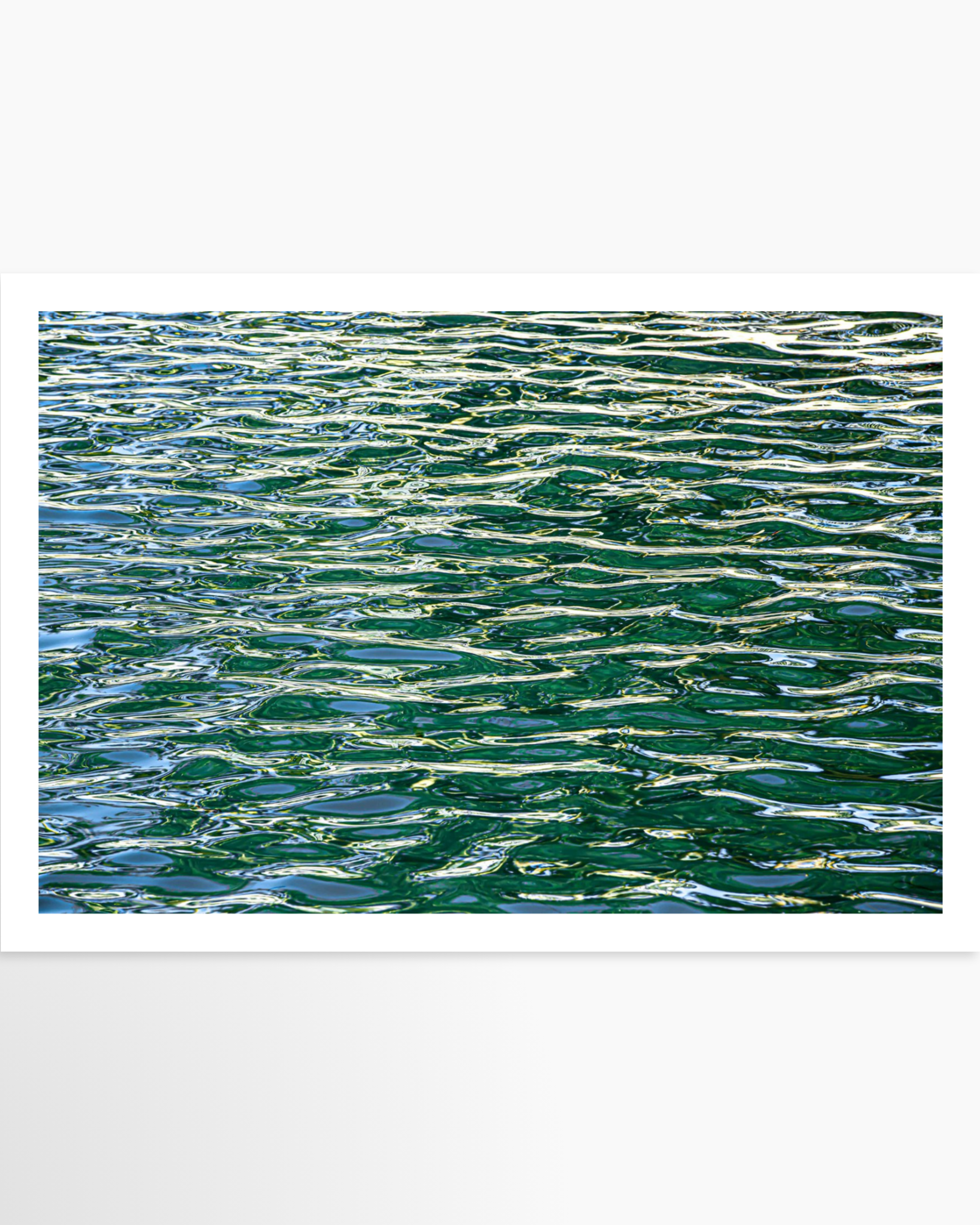 16x24 / Print / None