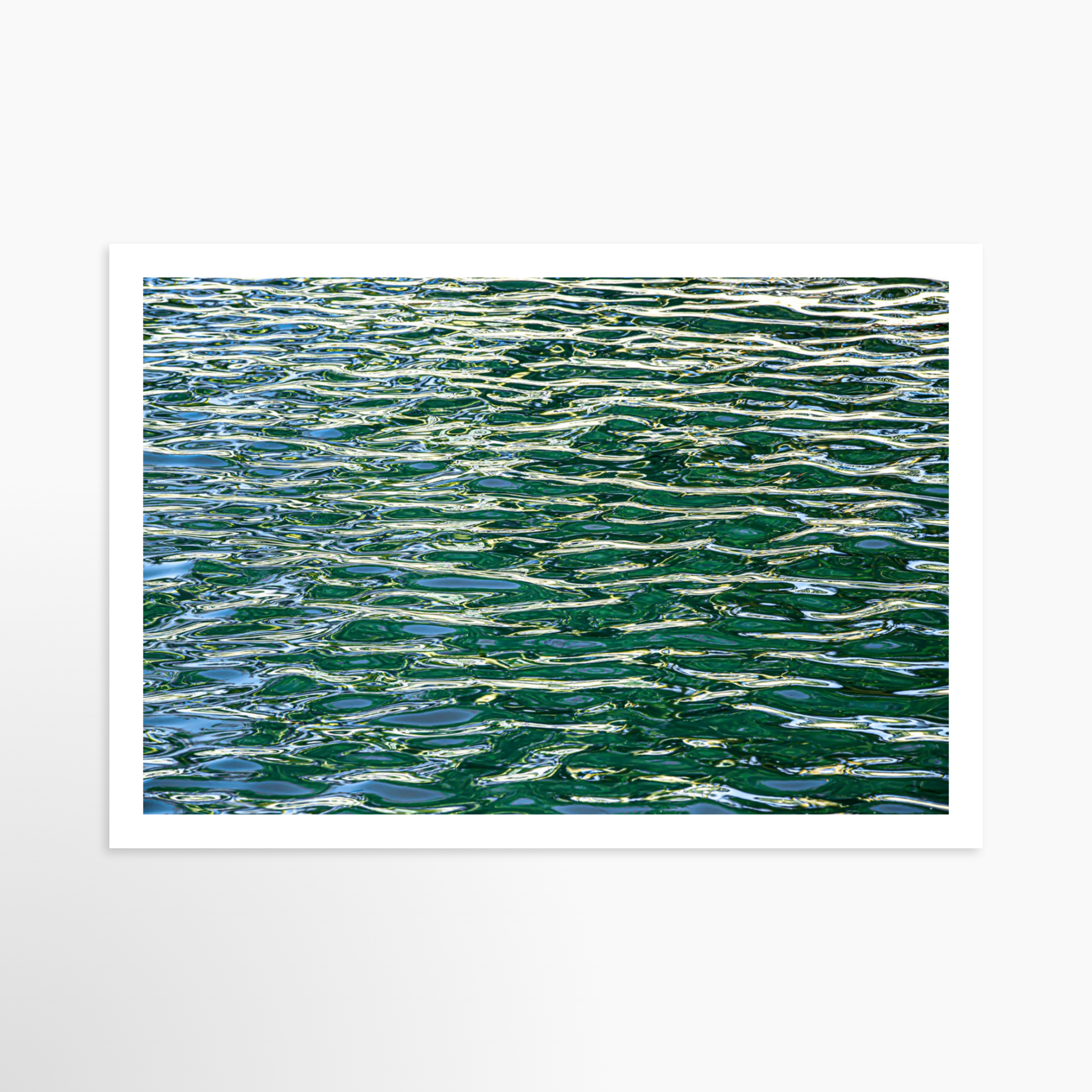 16x24 / Print / None