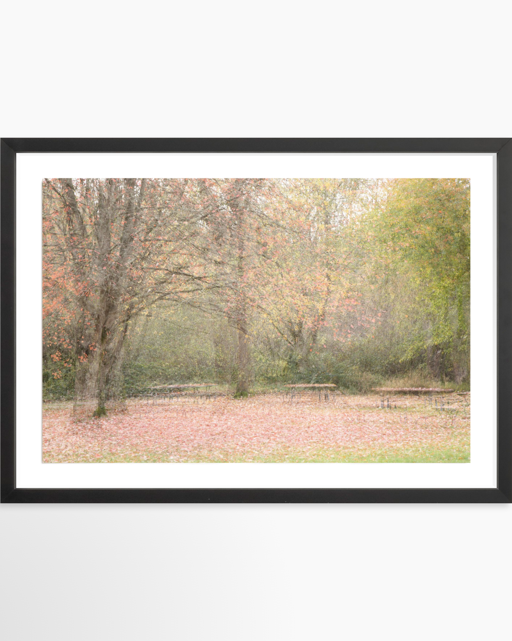 16x24 / Print / Black