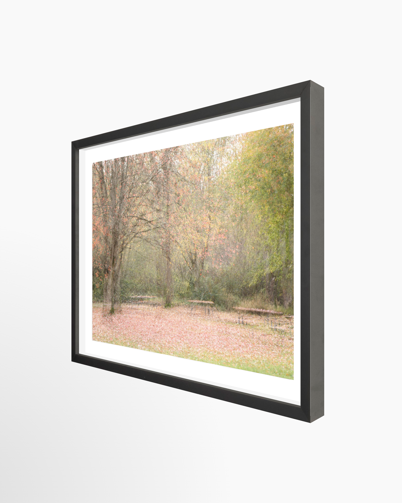 16x24 / Print / Black