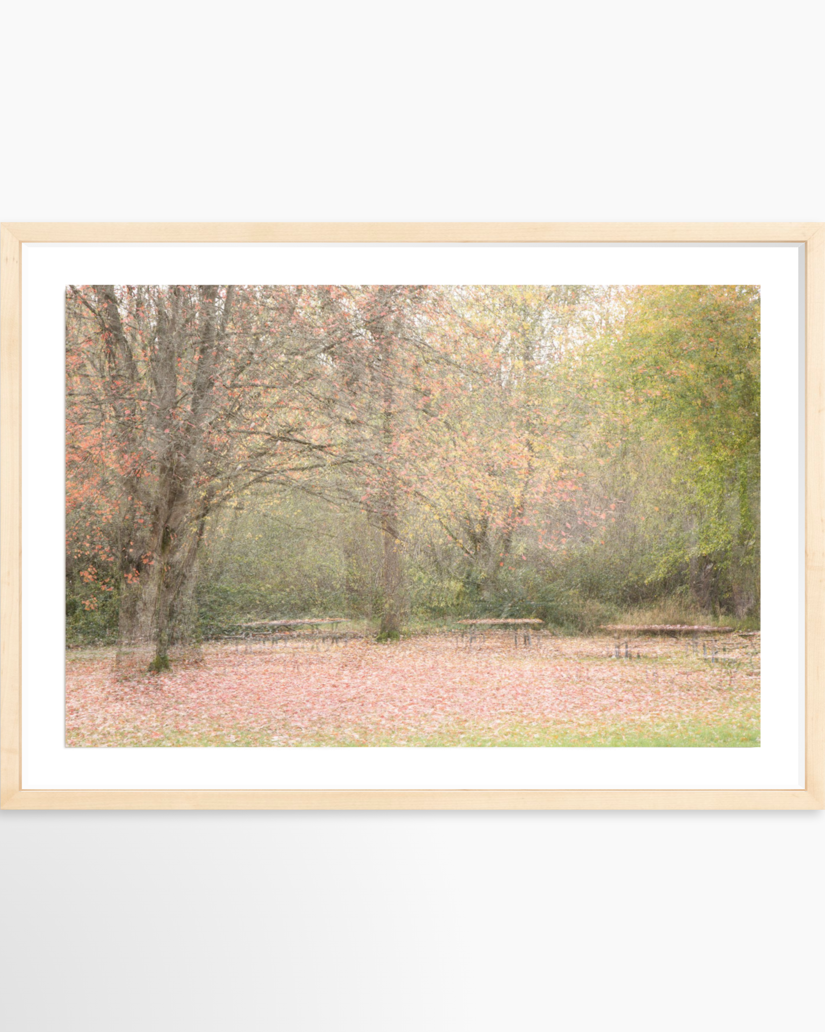 16x24 / Print / Natural