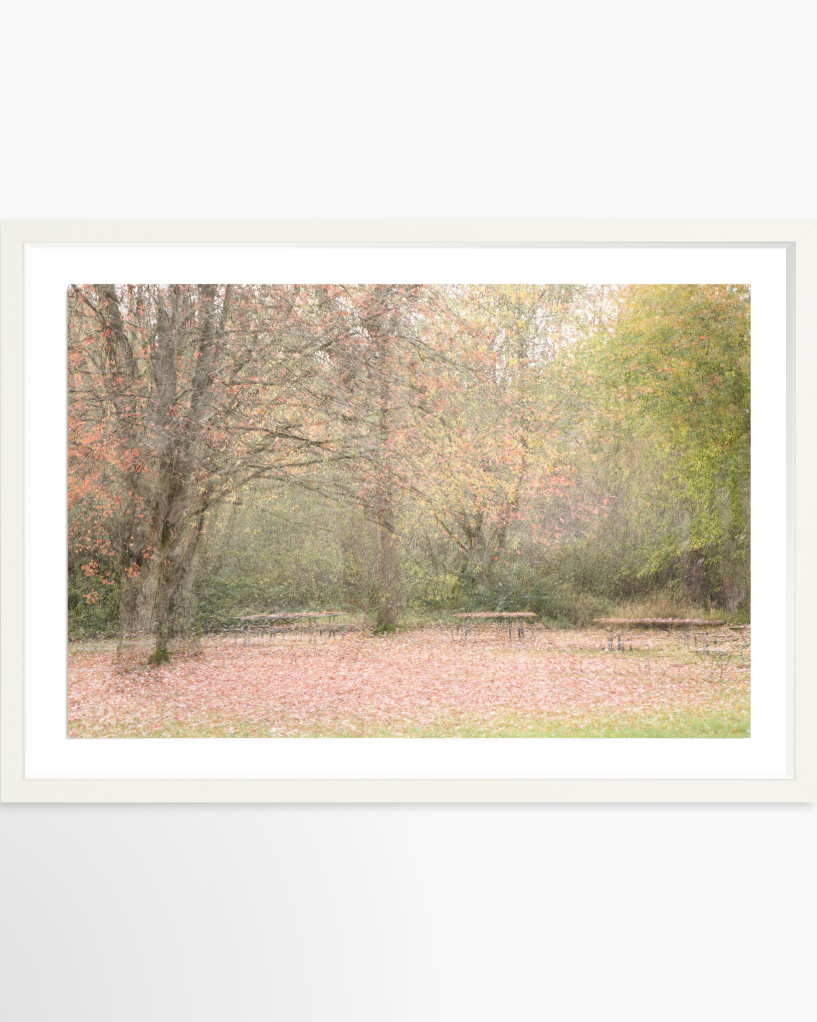 16x24 / Print / White