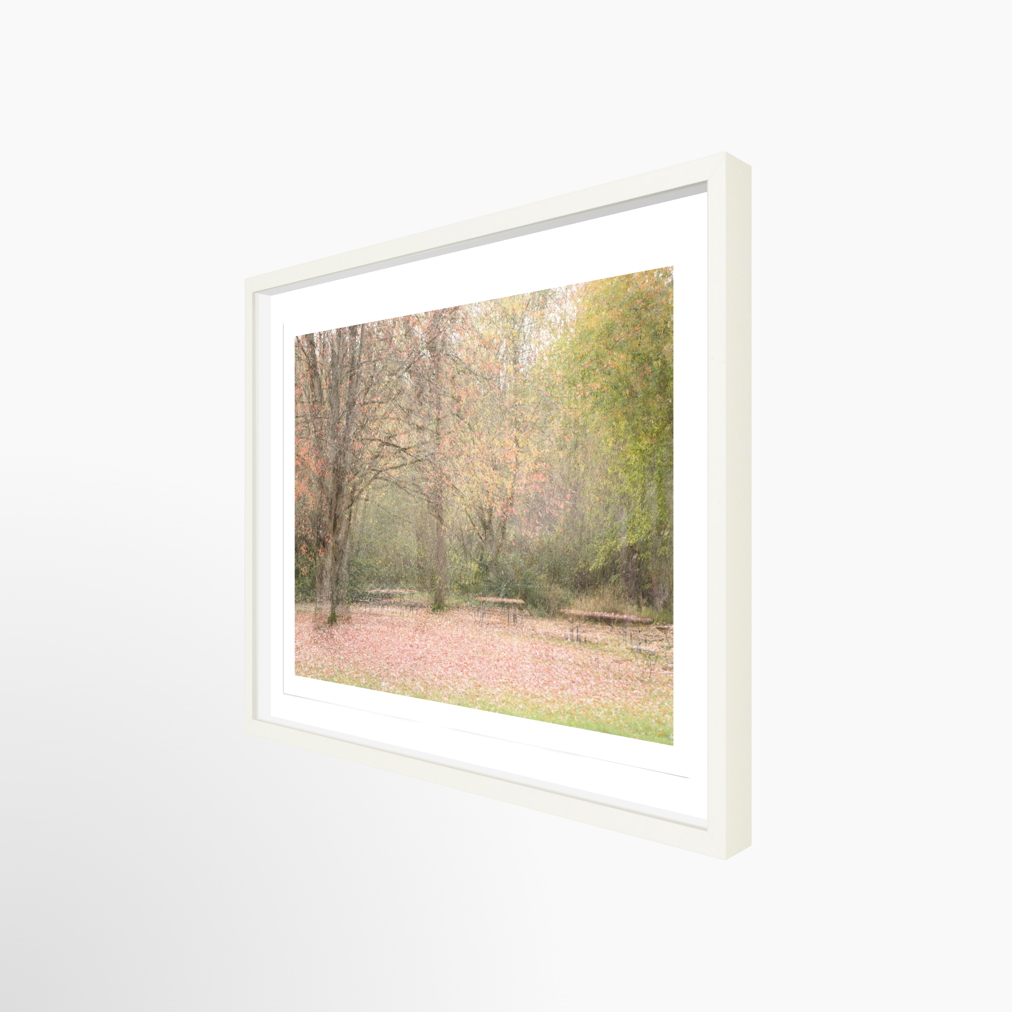 16x24 / Print / White