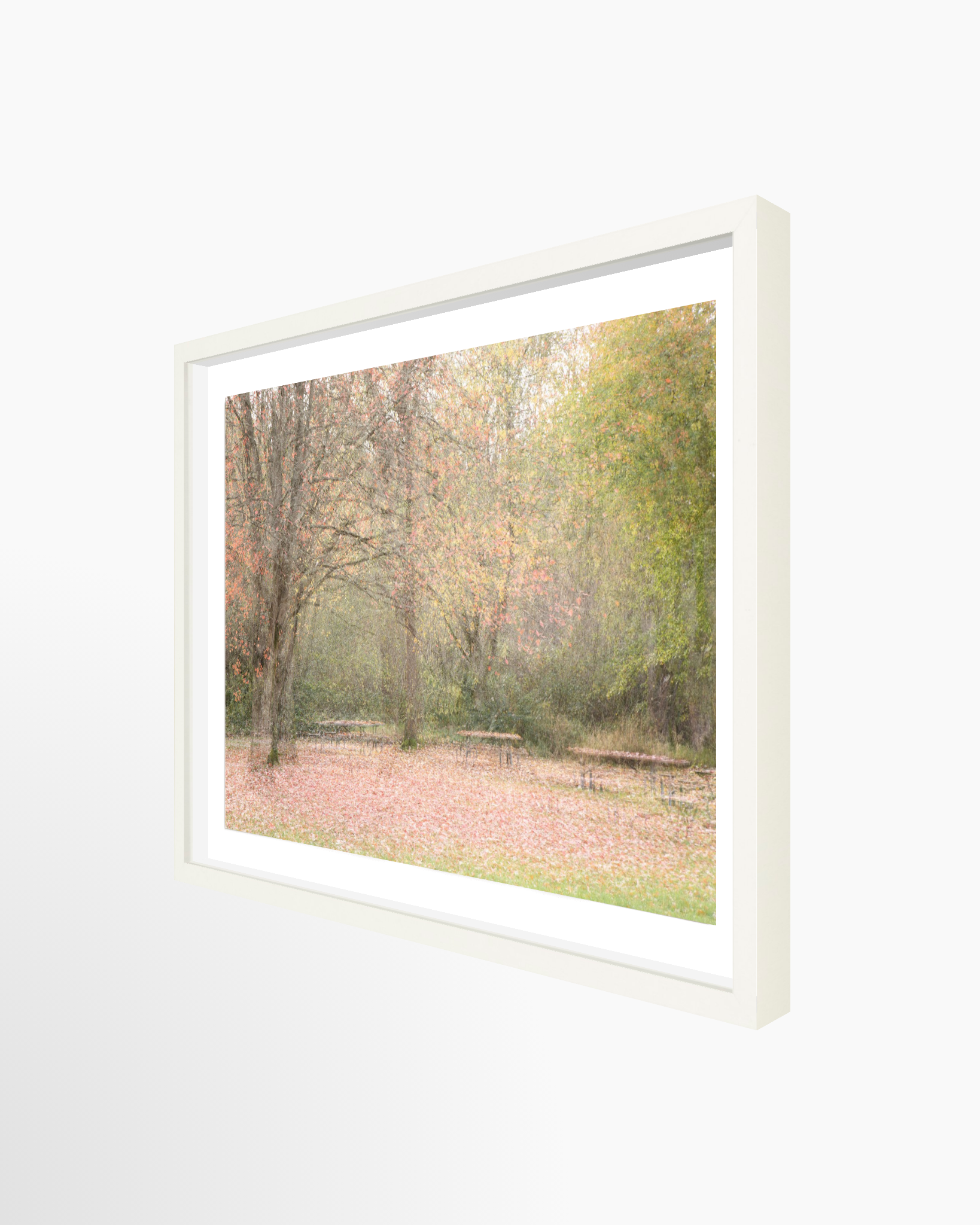 16x24 / Print / White