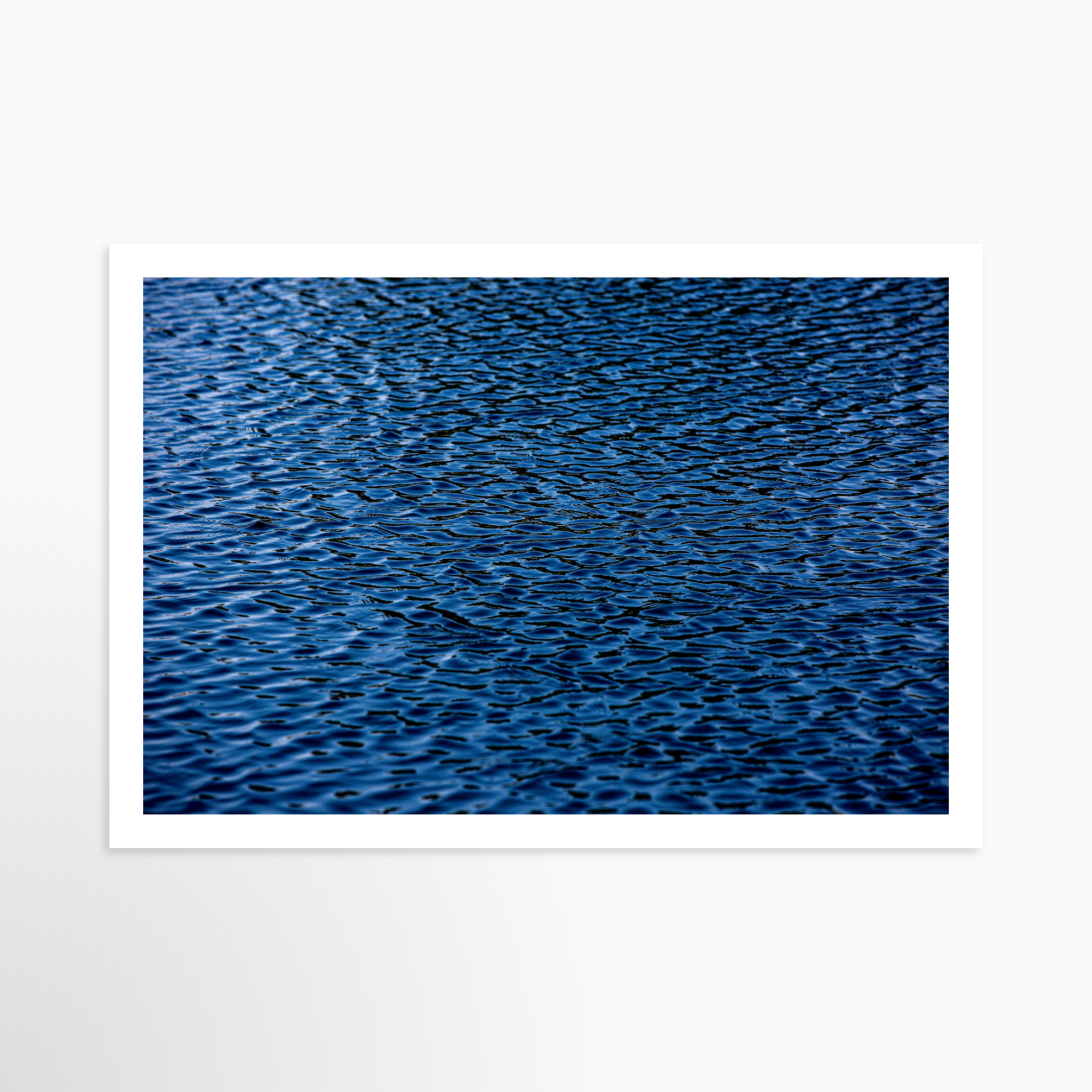 16x24 / Print / None