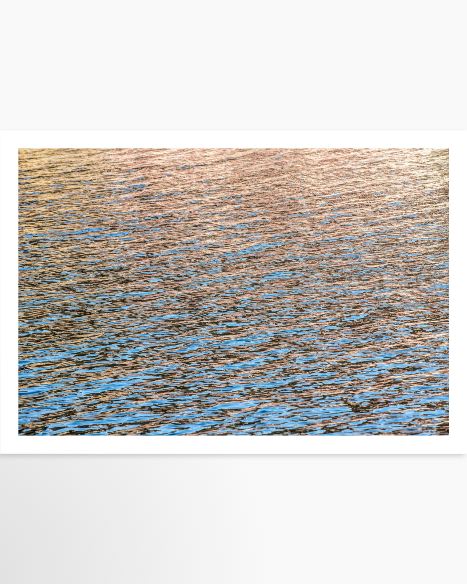 16x24 / Print / None