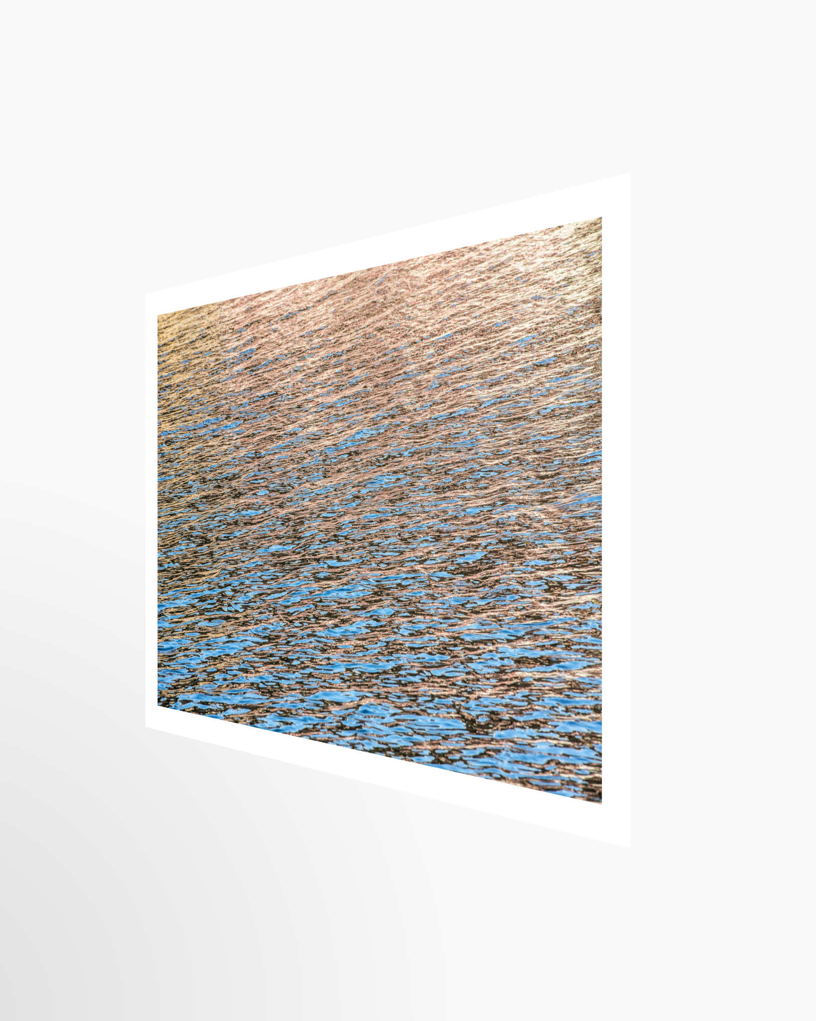 16x24 / Print / None