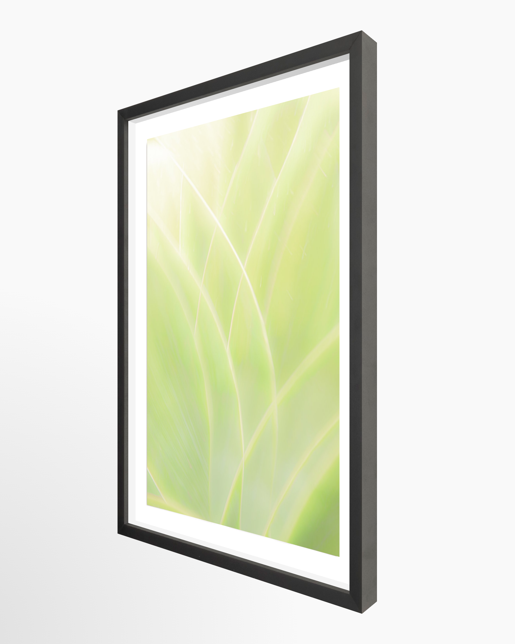 16x24 / Print / Black