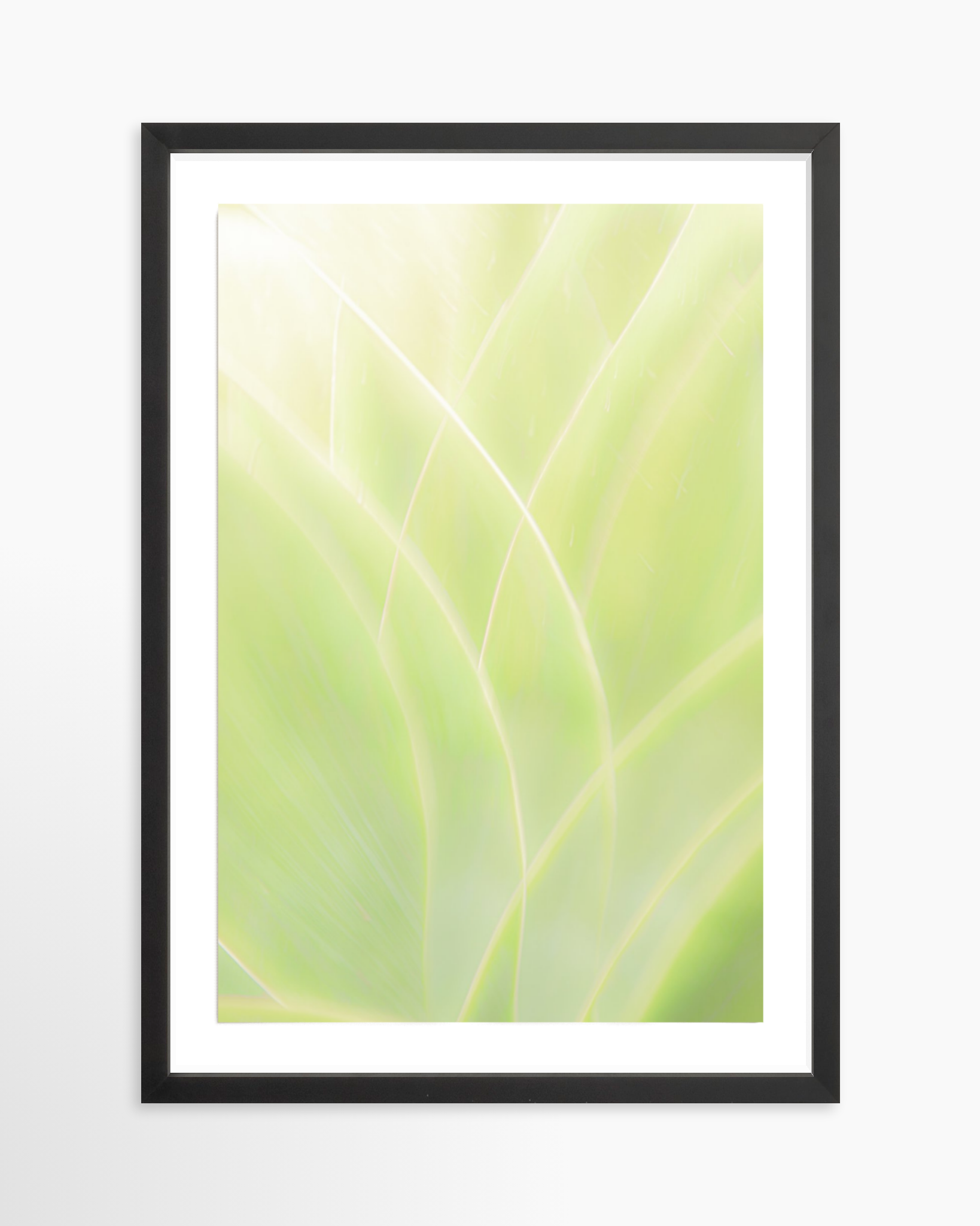 16x24 / Print / Black