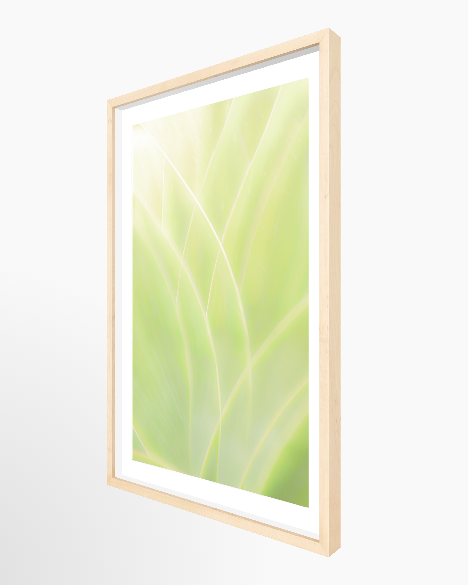 16x24 / Print / Natural