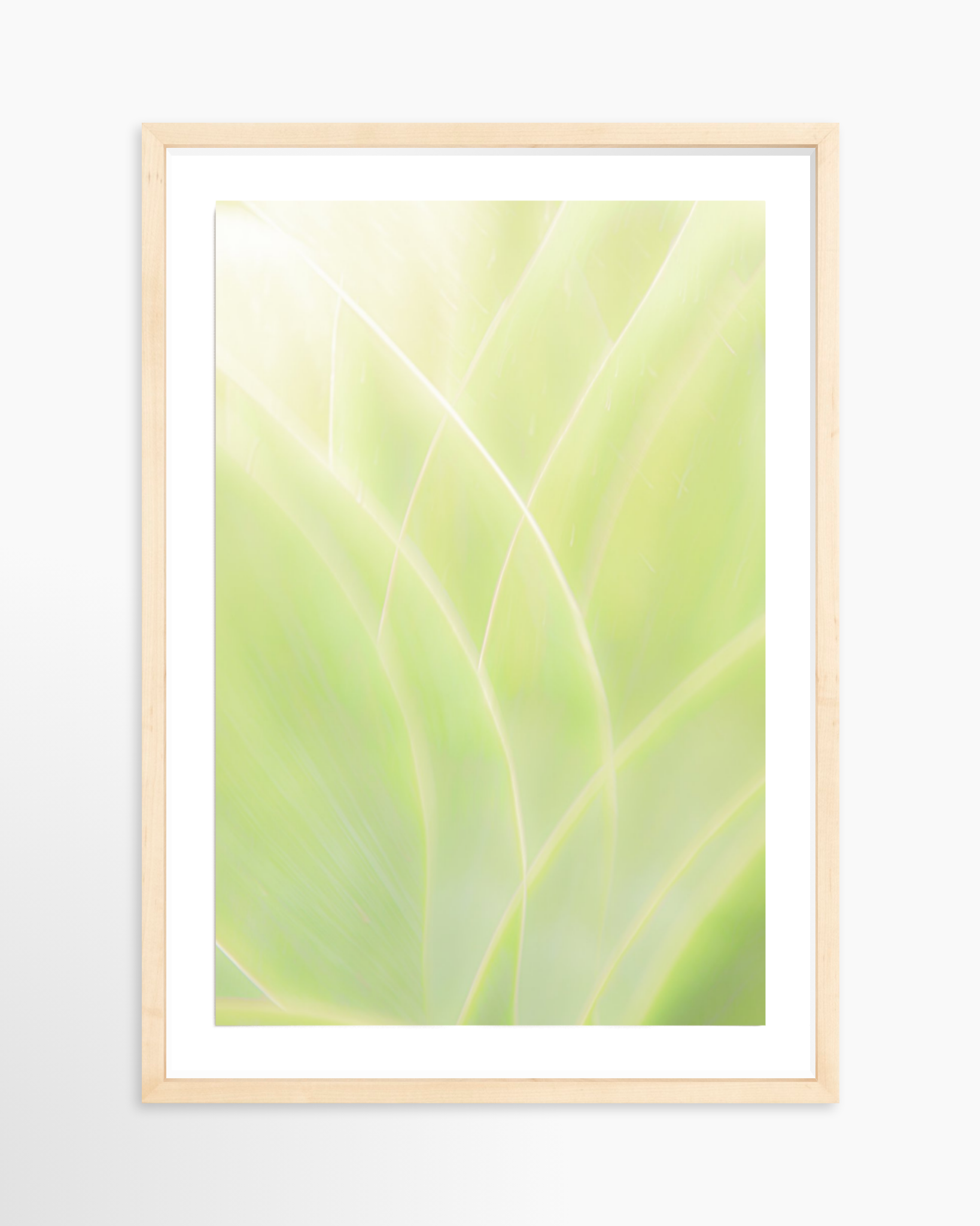 16x24 / Print / Natural