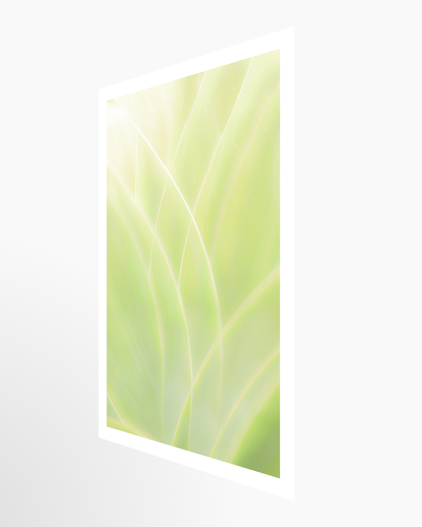 16x24 / Print / None