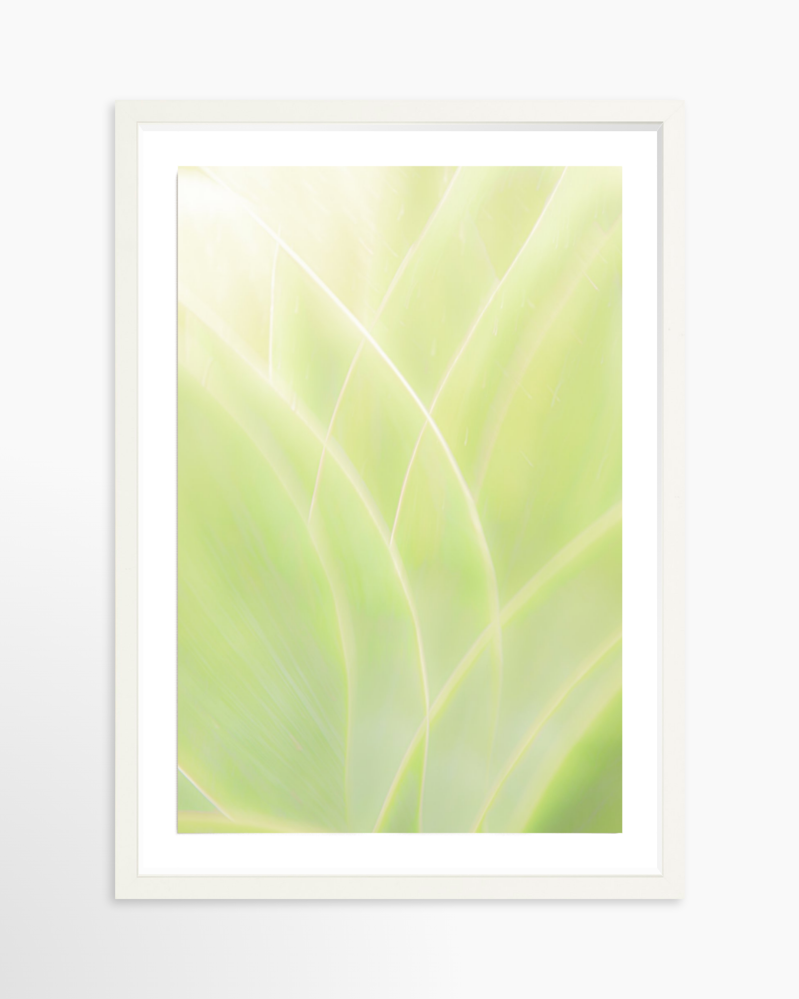 16x24 / Print / White