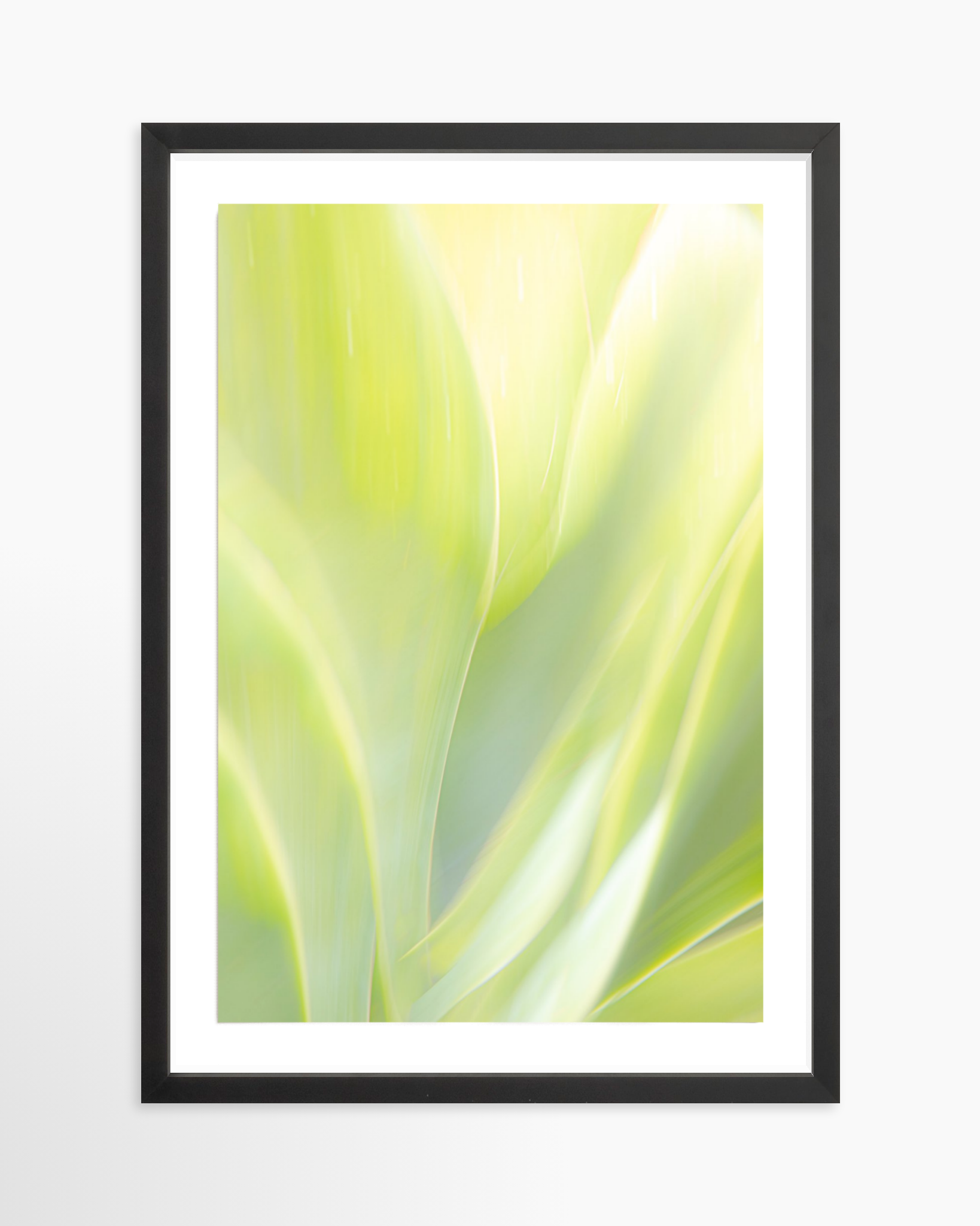 16x24 / Print / Black