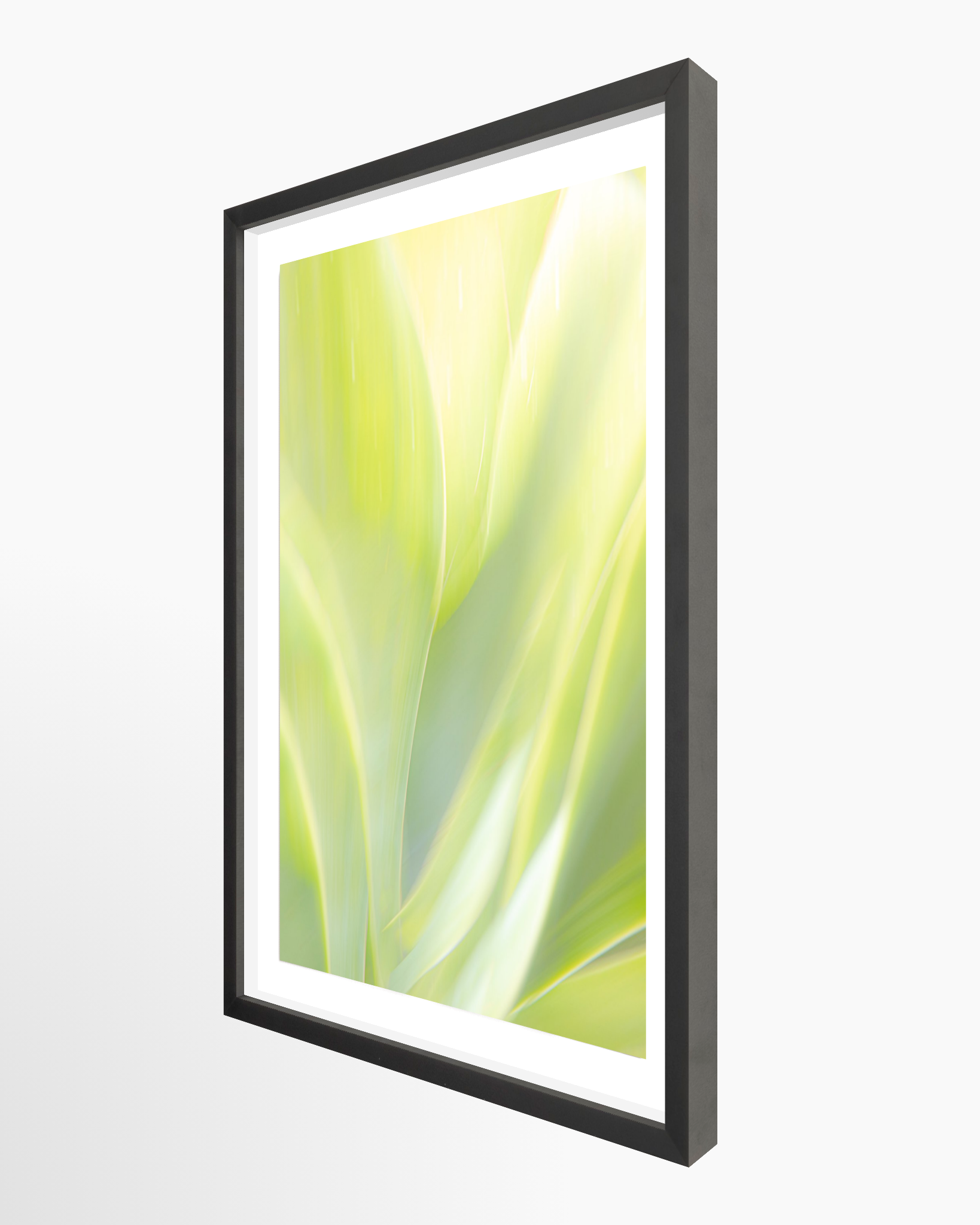 16x24 / Print / Black