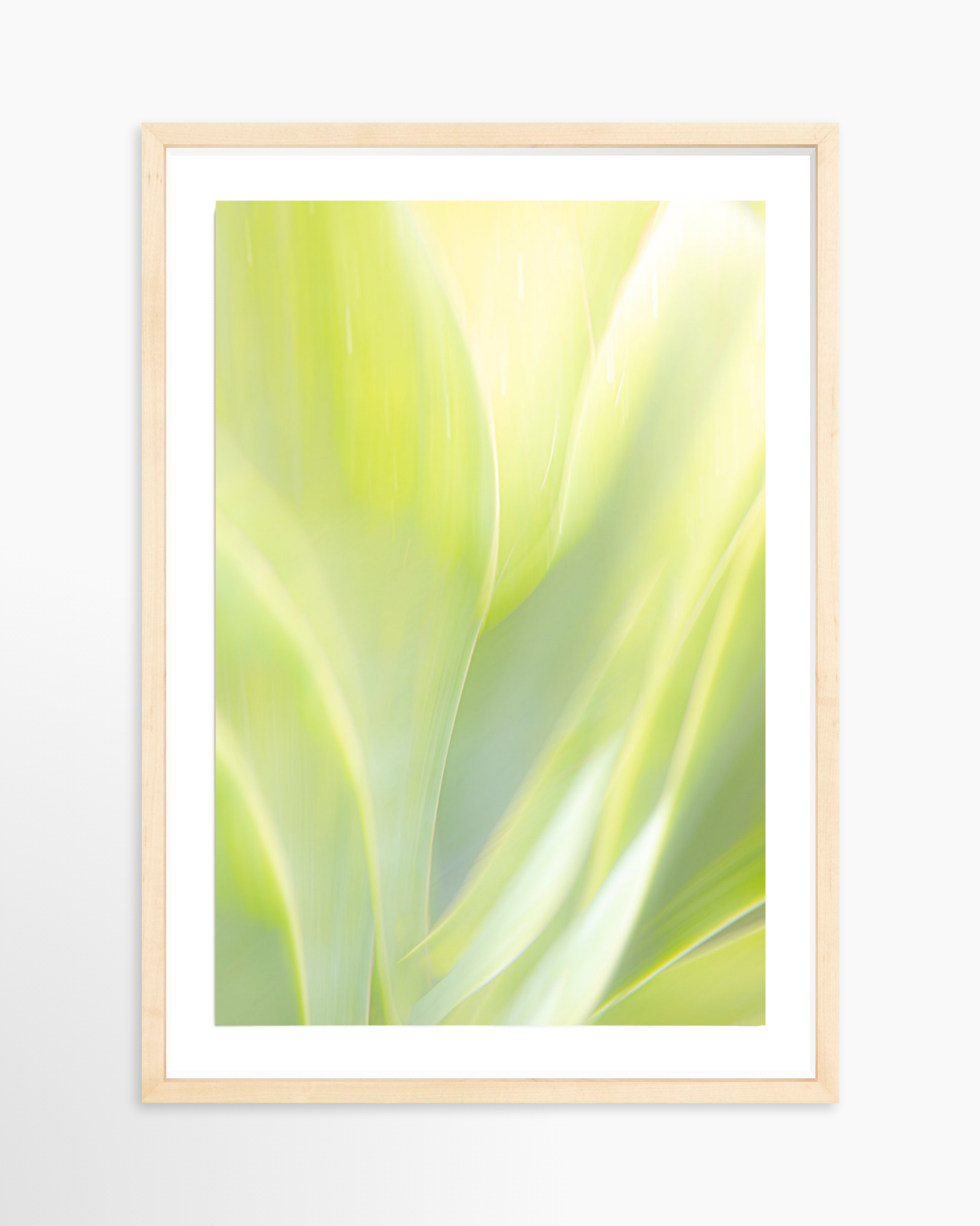 16x24 / Print / Natural