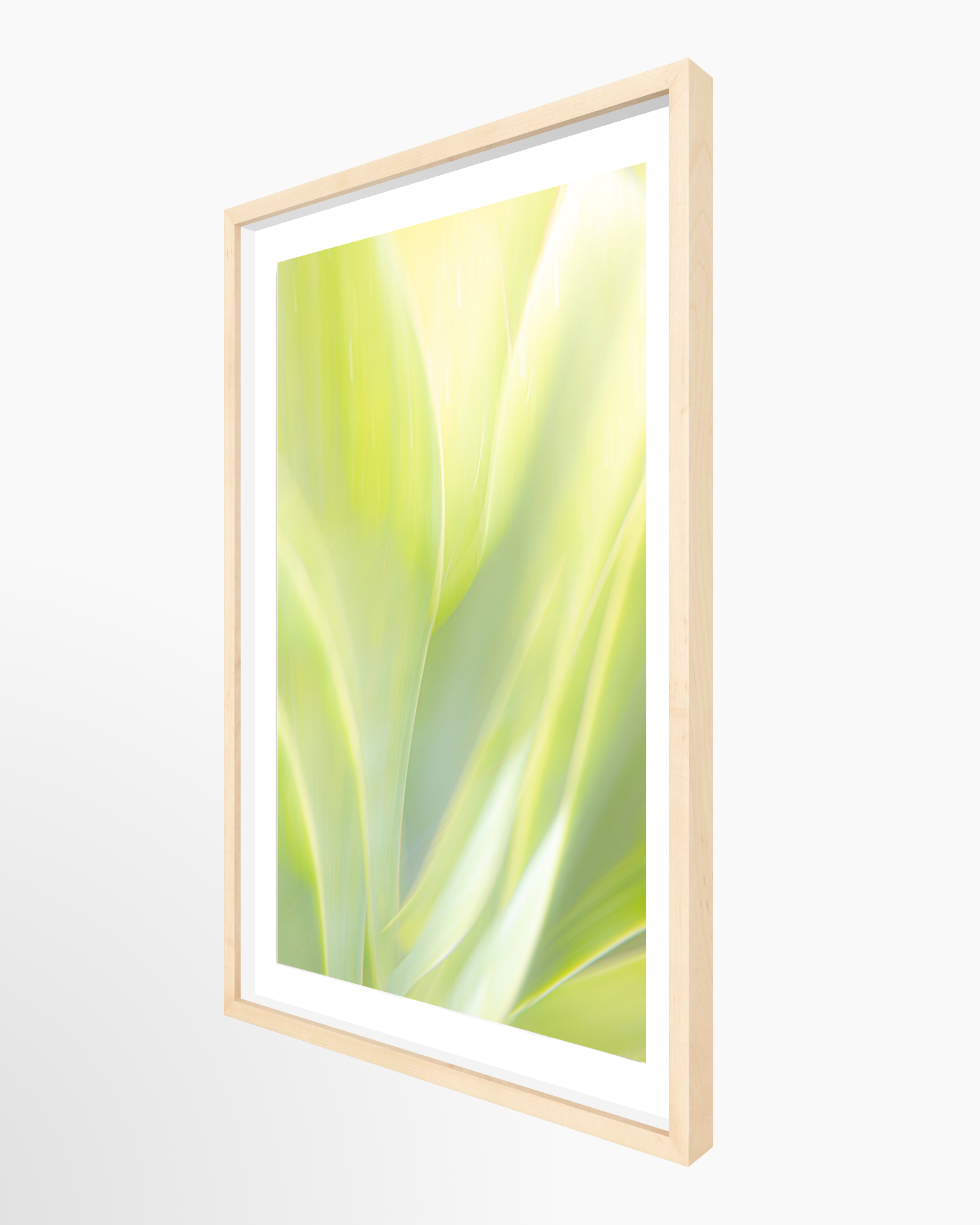 16x24 / Print / Natural