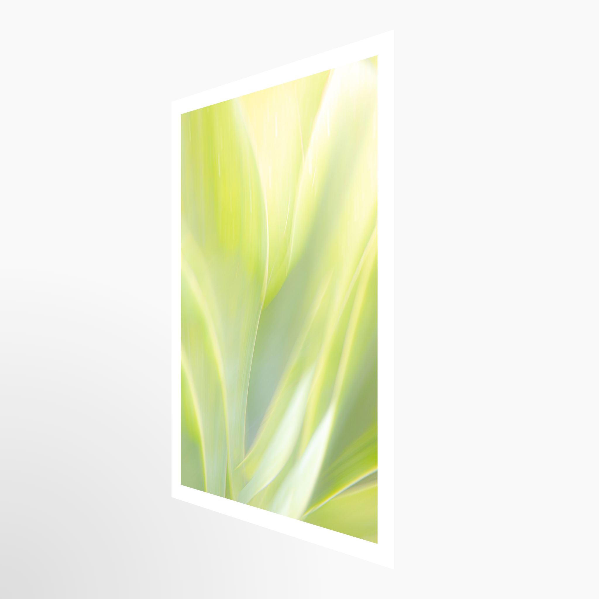 16x24 / Print / None