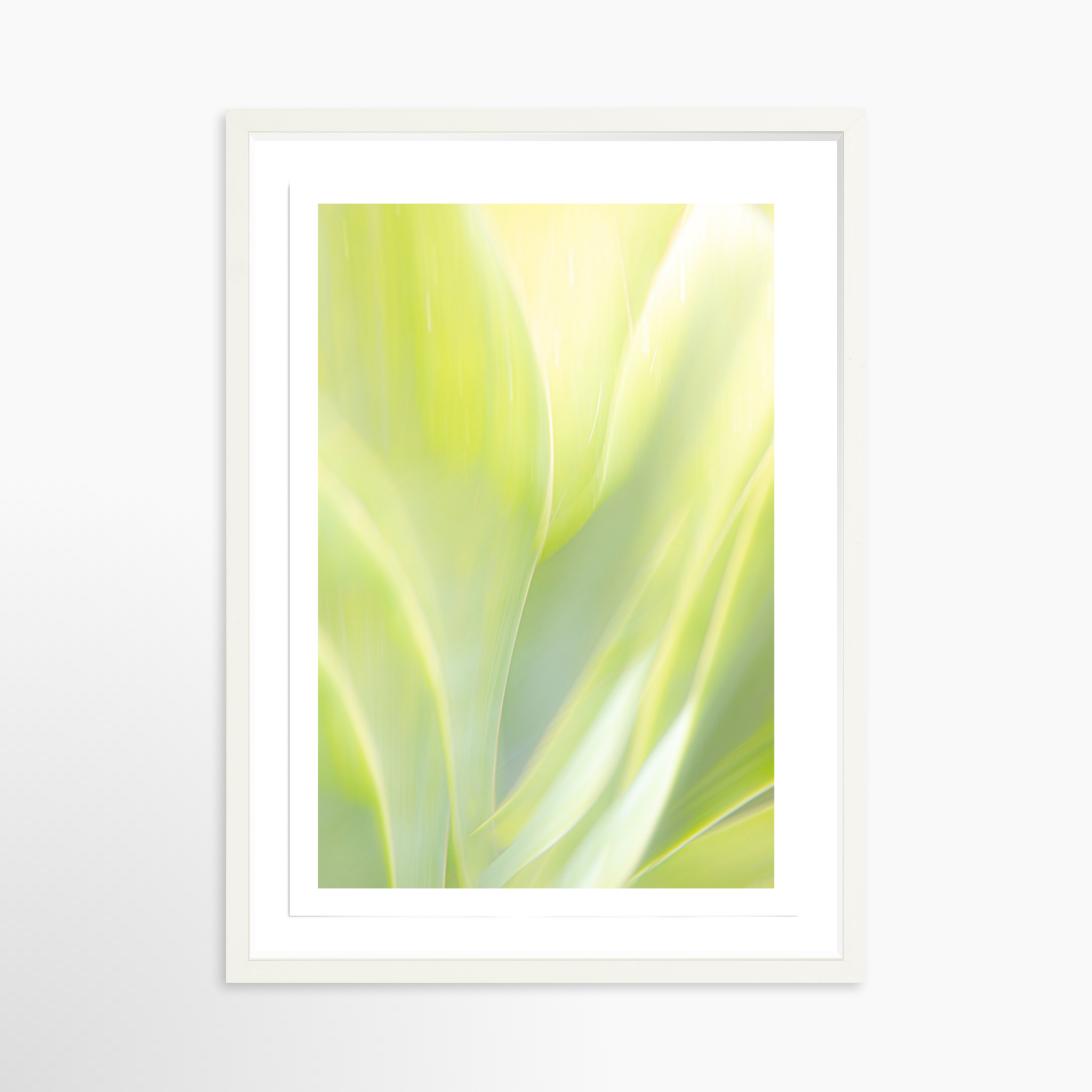 16x24 / Print / White