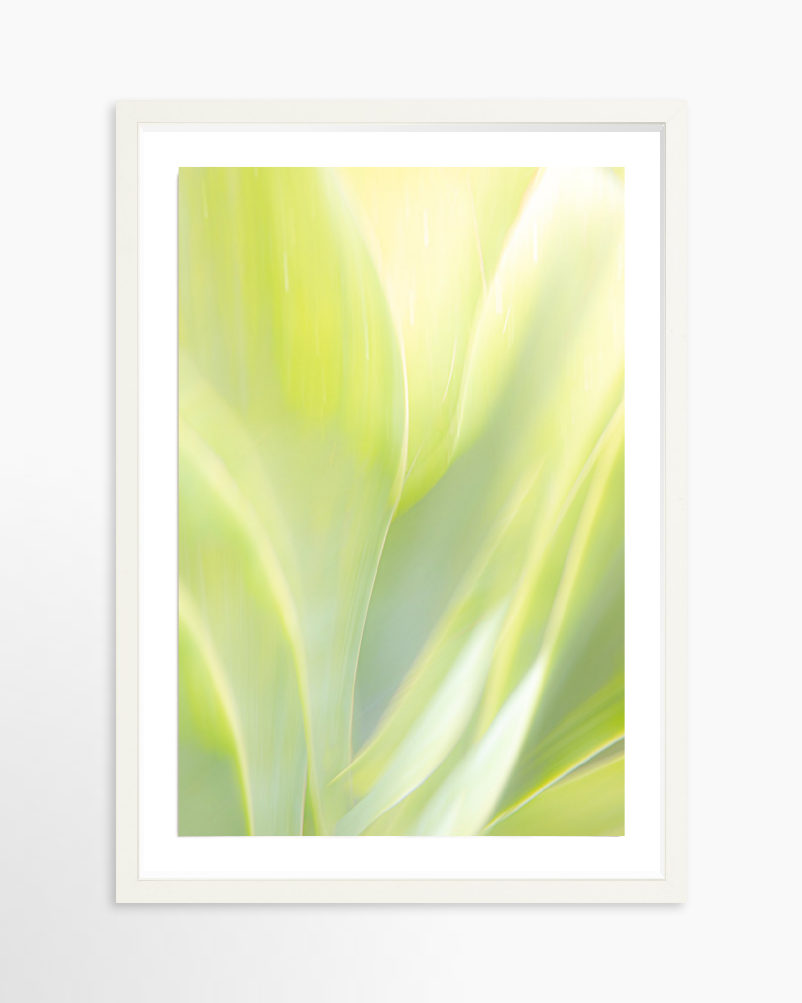 16x24 / Print / White