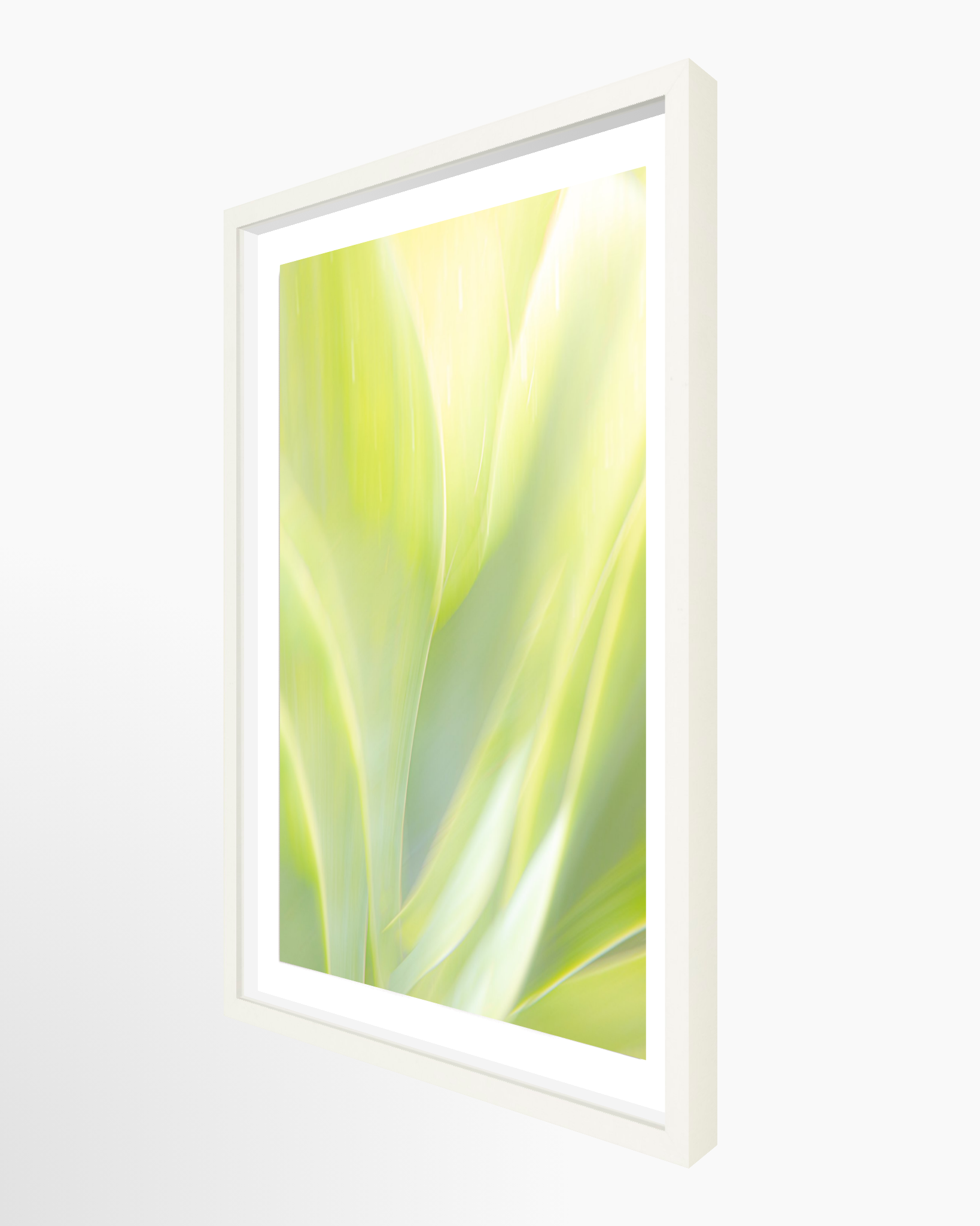 16x24 / Print / White