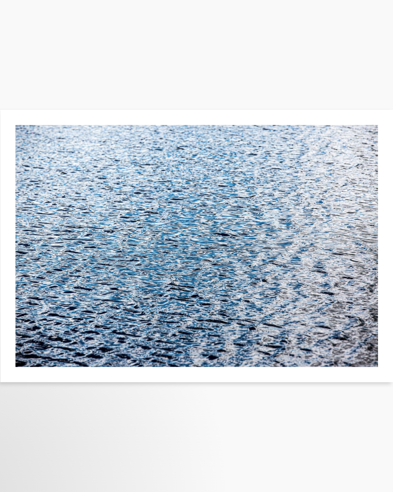 16x24 / Print / None