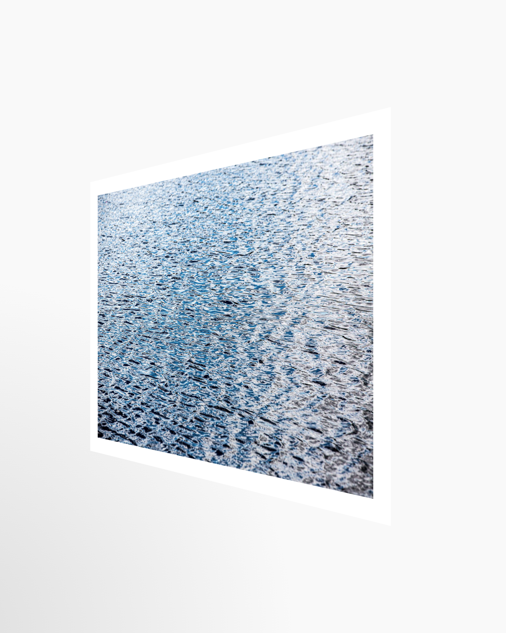 16x24 / Print / None