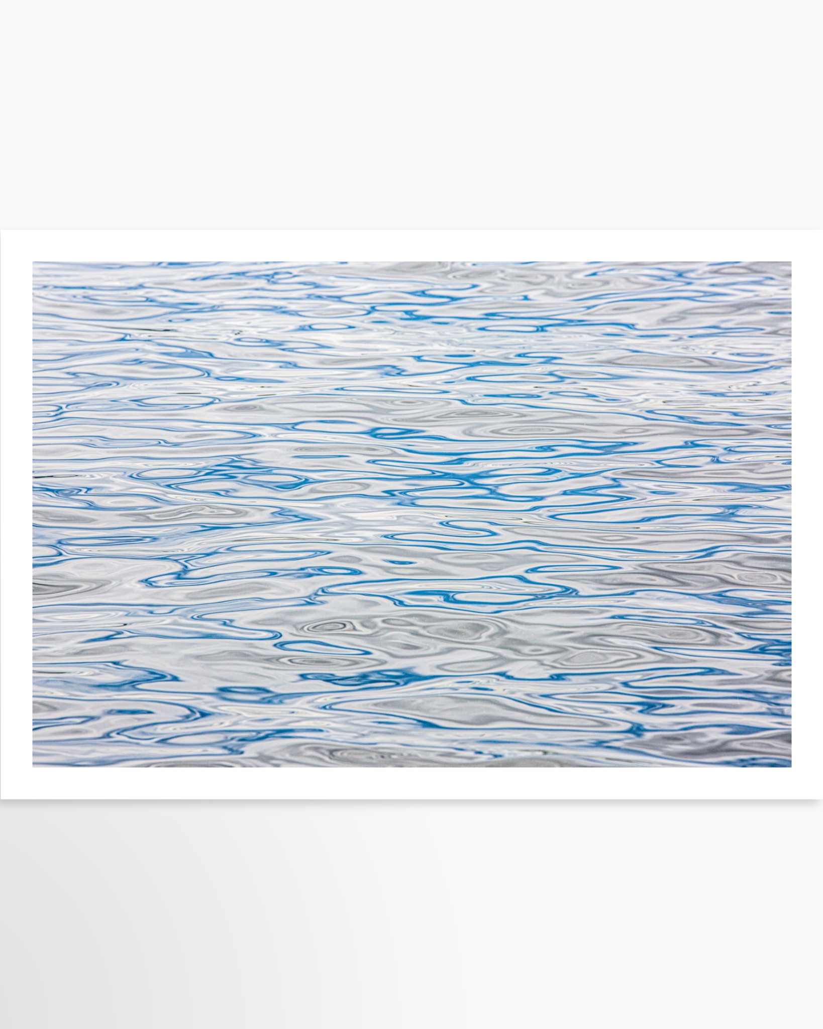 16x24 / Print / None