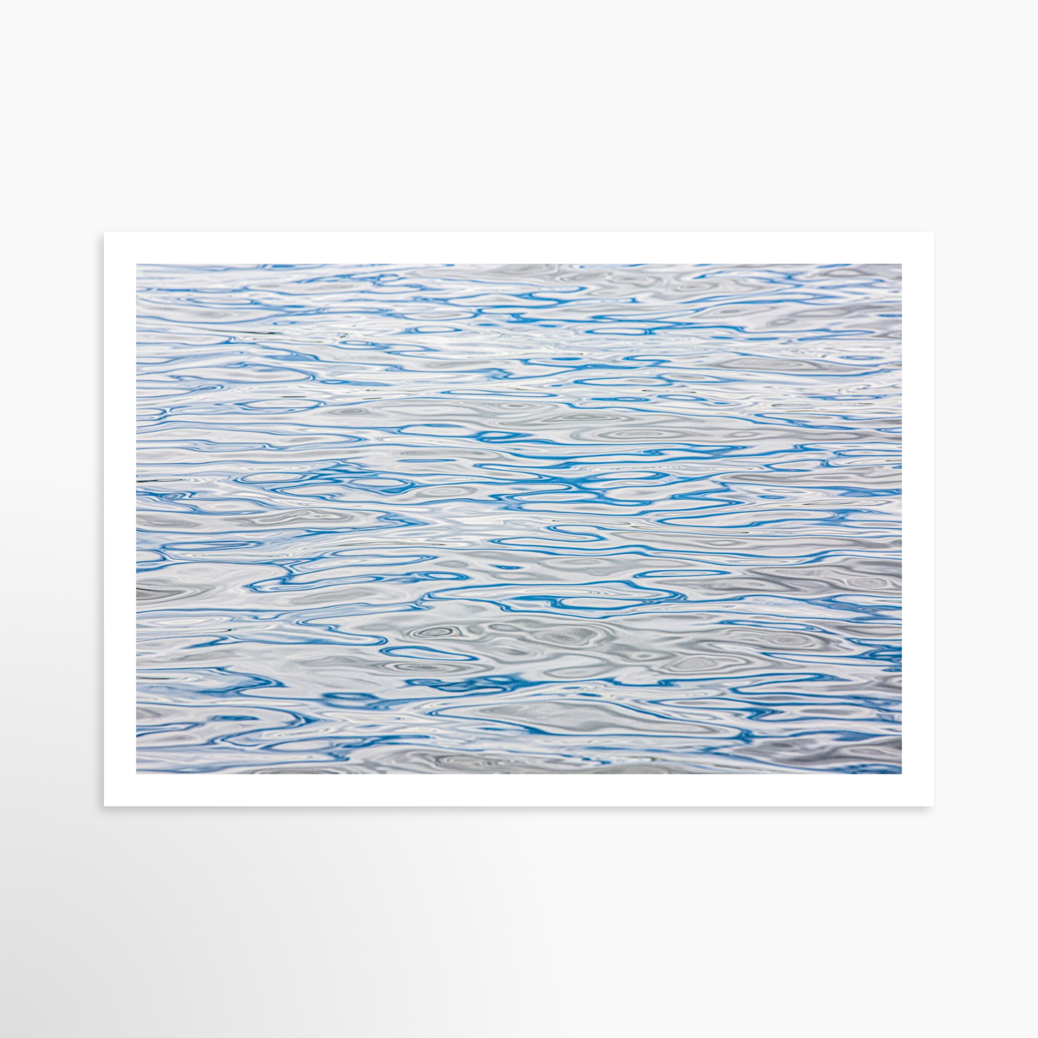 16x24 / Print / None