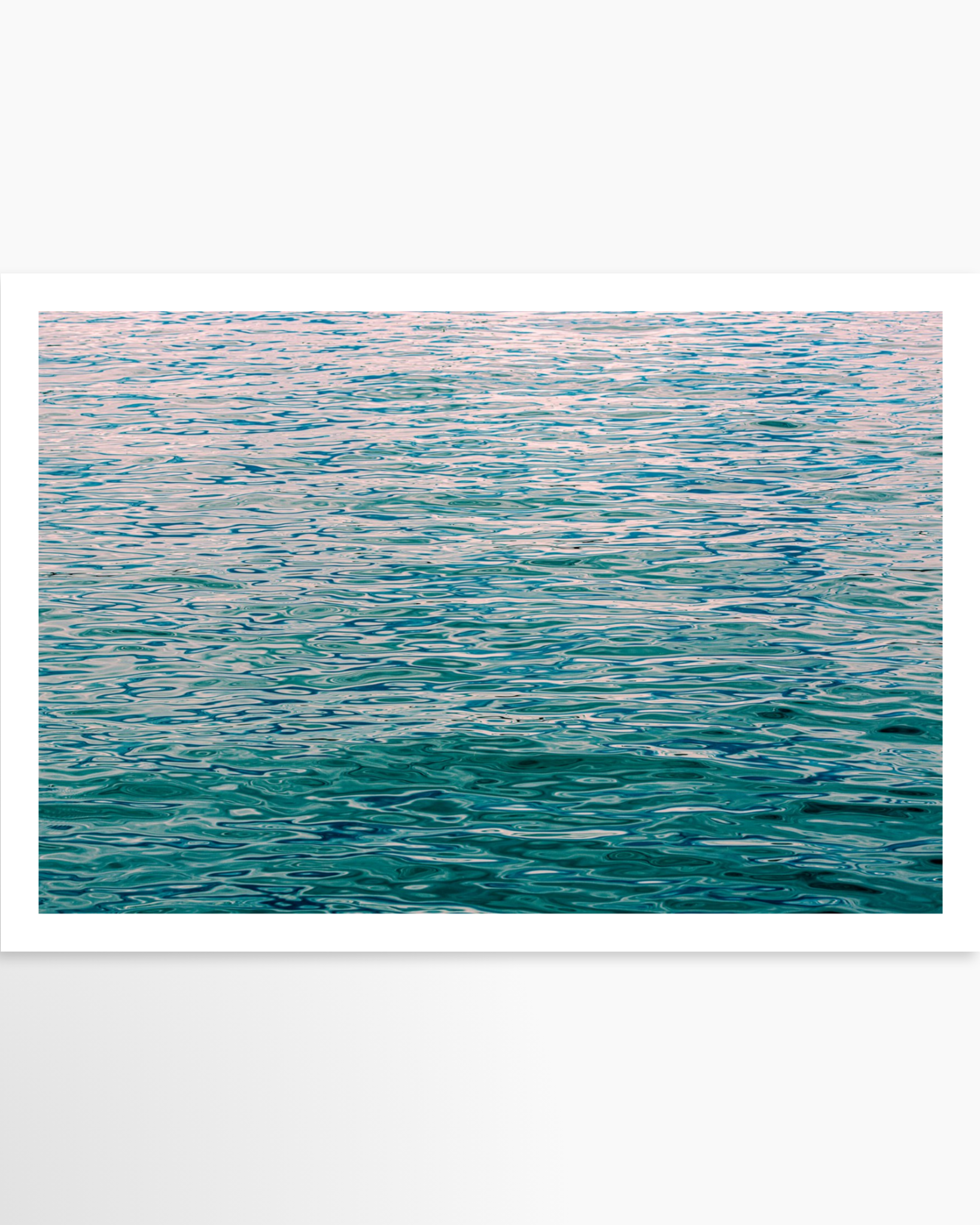 16x24 / Print / None