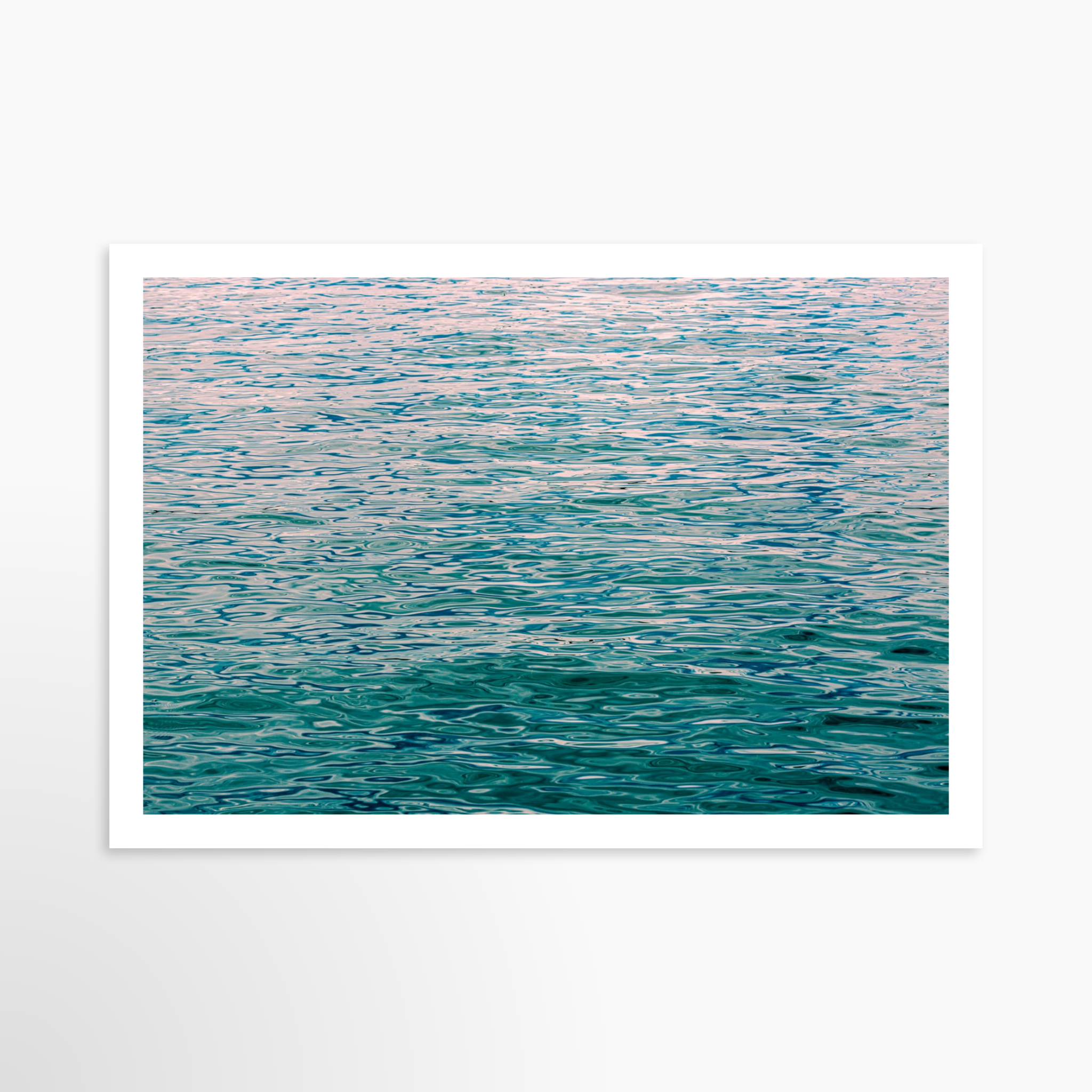 16x24 / Print / None