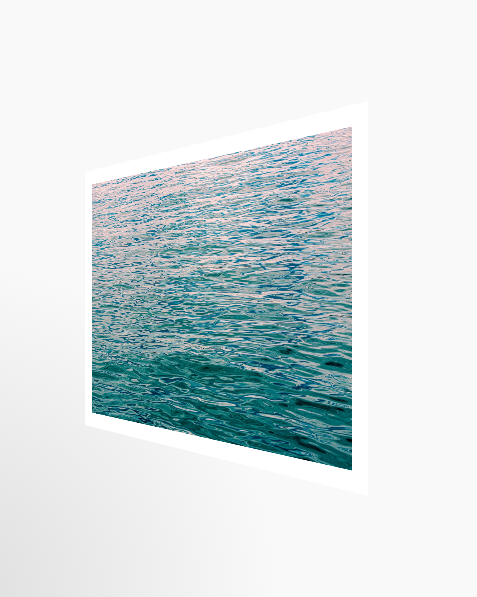 16x24 / Print / None