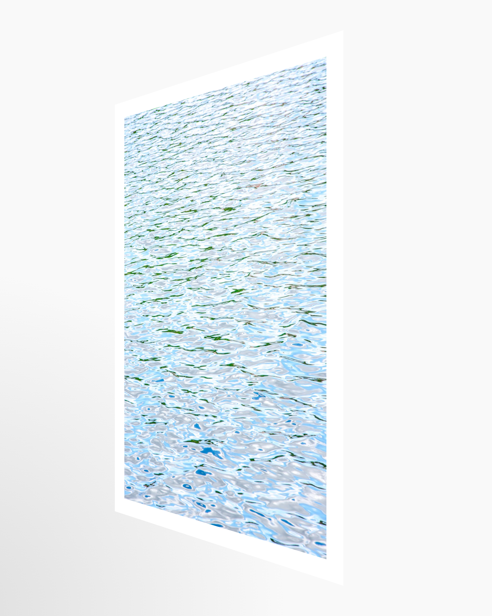 16x24 / Print / None