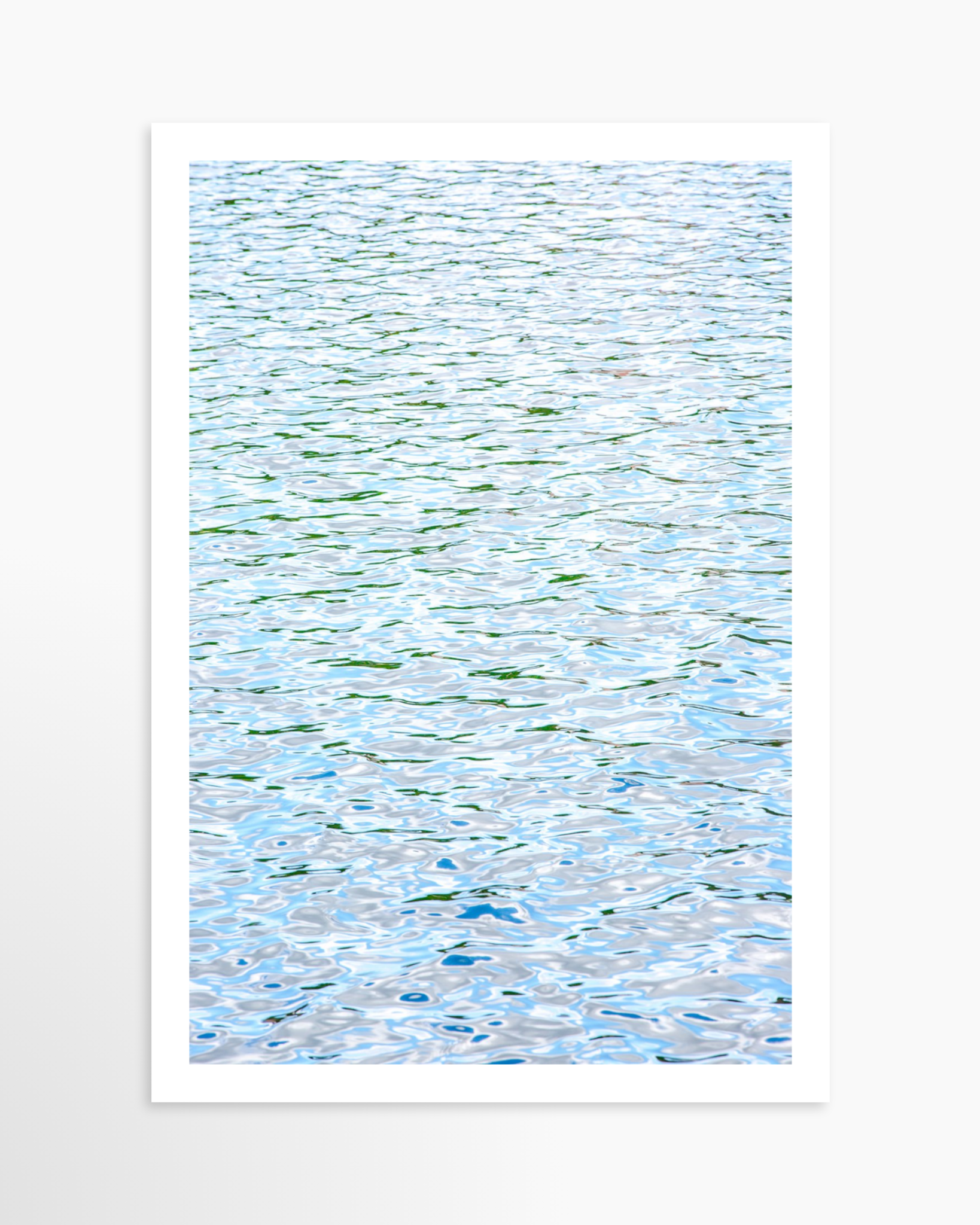 16x24 / Print / None