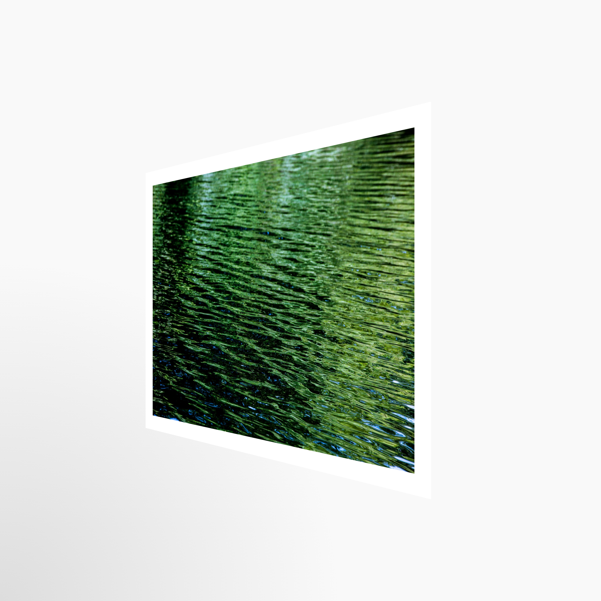 16x24 / Print / None