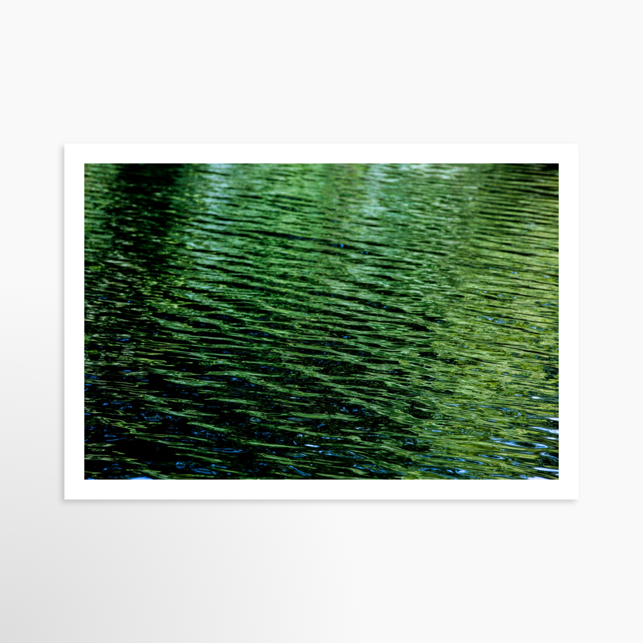 16x24 / Print / None
