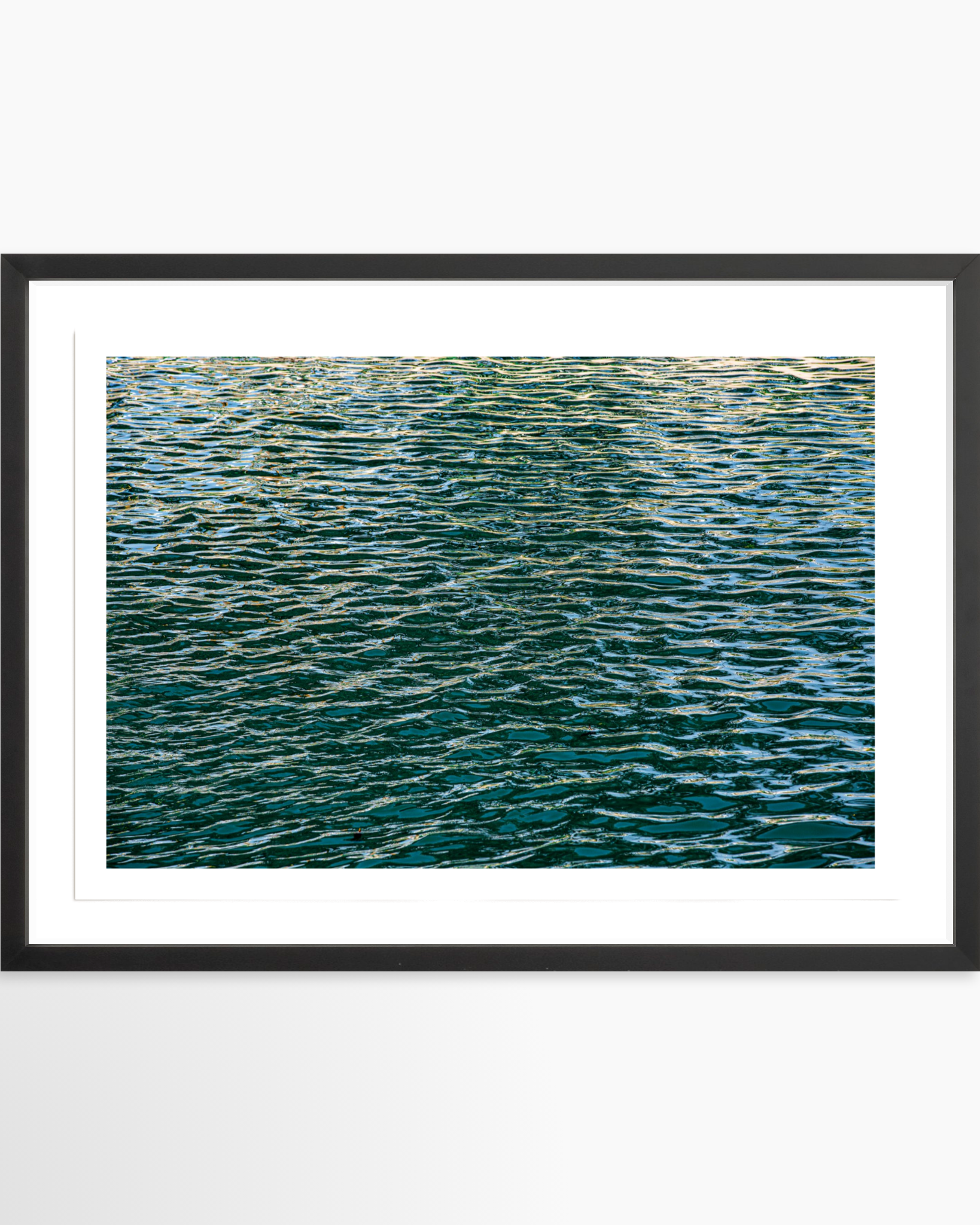 16x24 / Print / Black