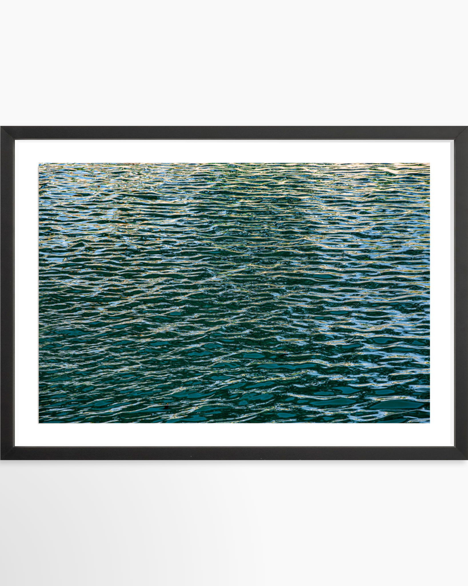 16x24 / Print / Black