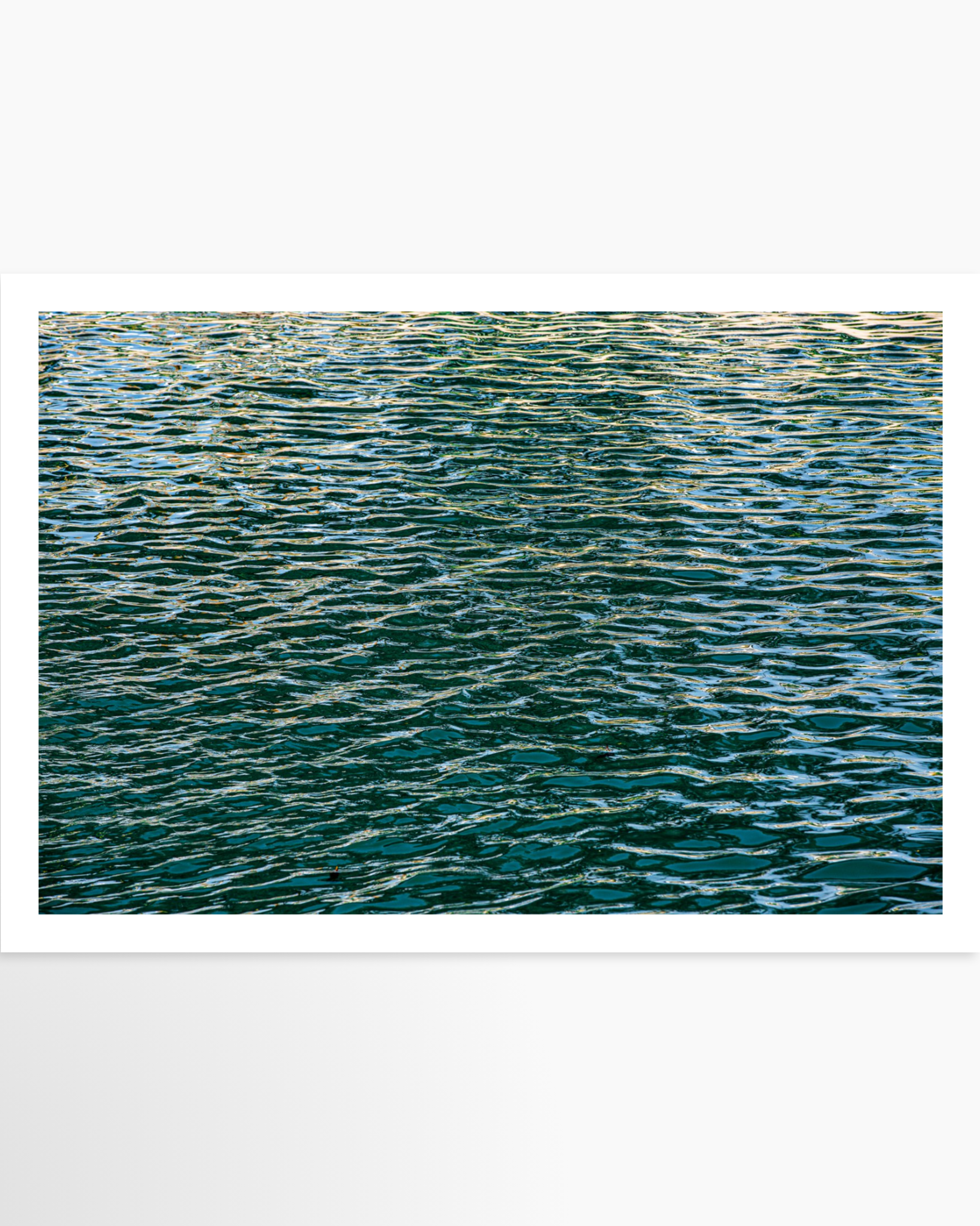 16x24 / Print / None