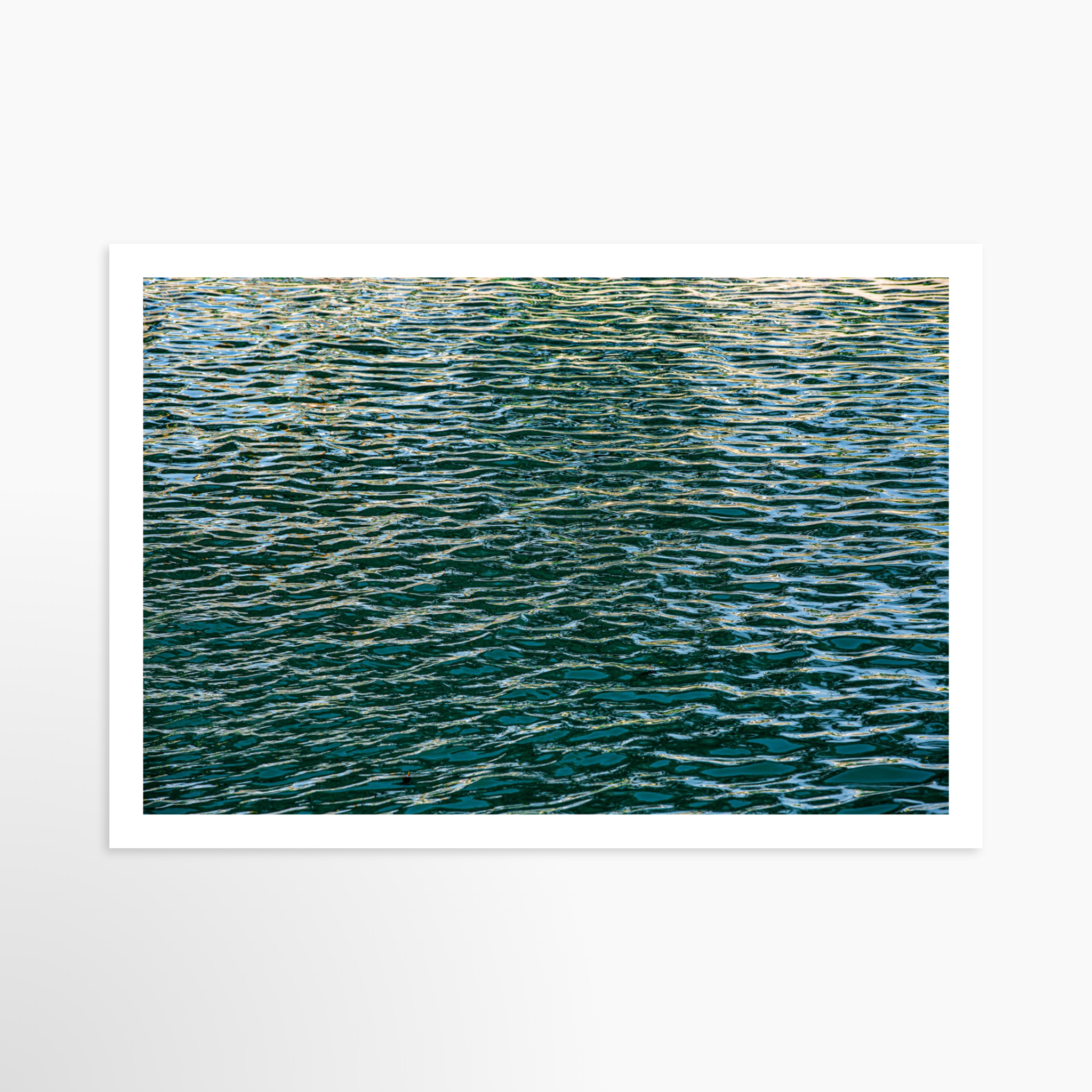 16x24 / Print / None
