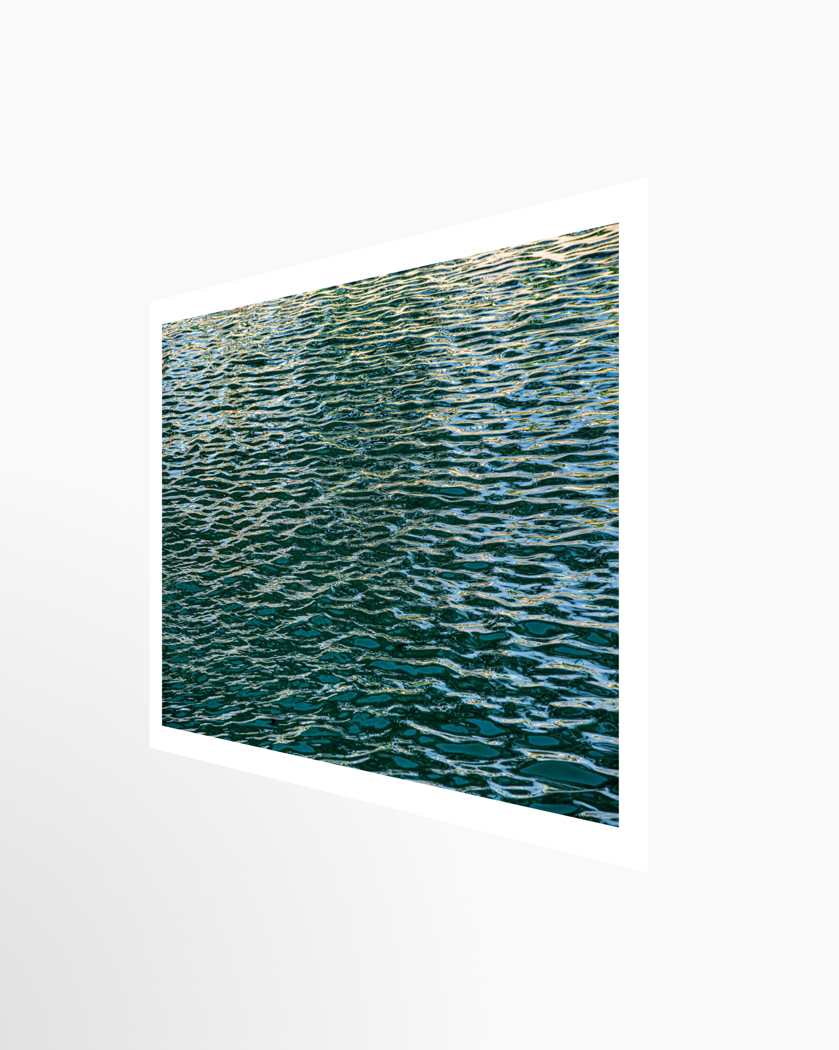 16x24 / Print / None