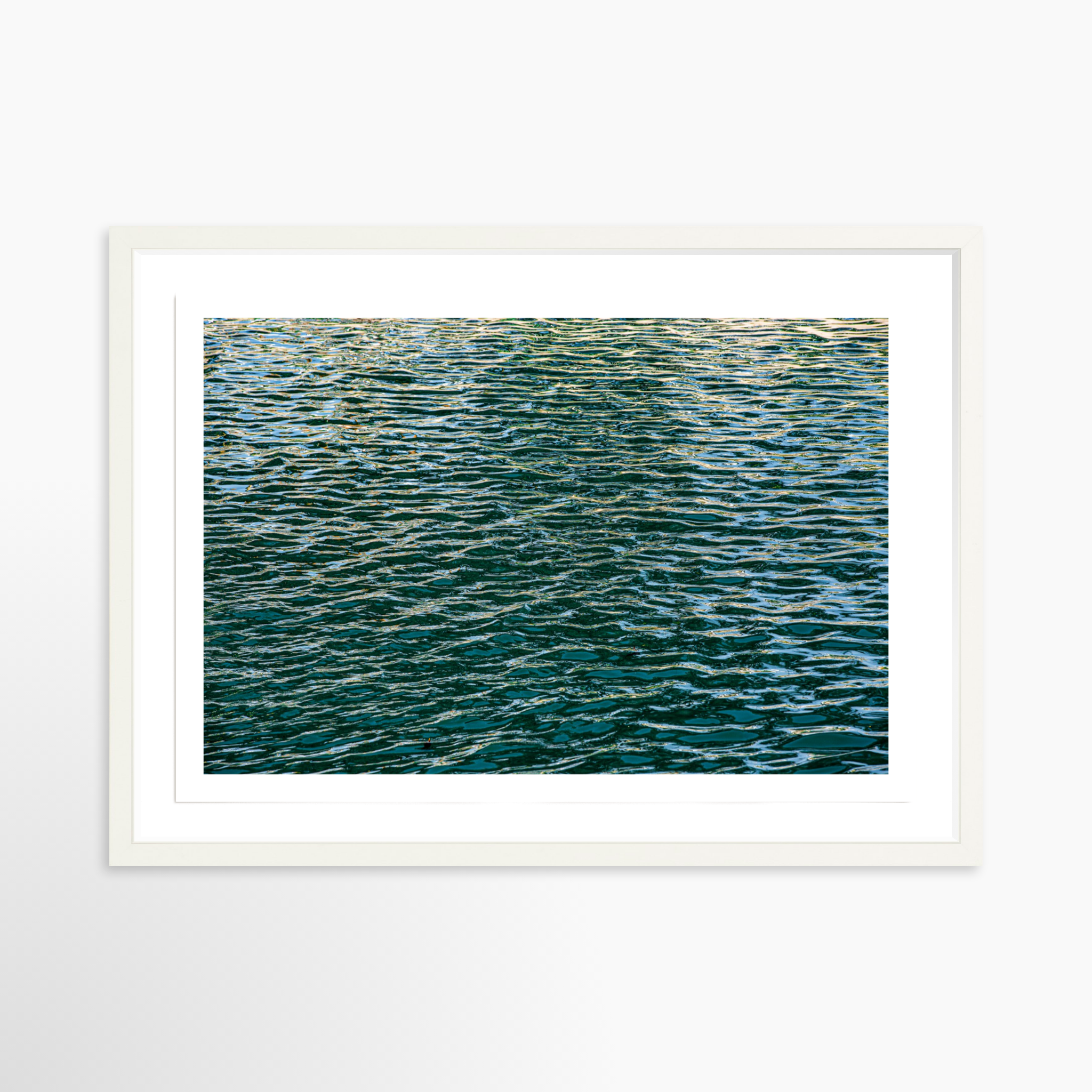 16x24 / Print / White